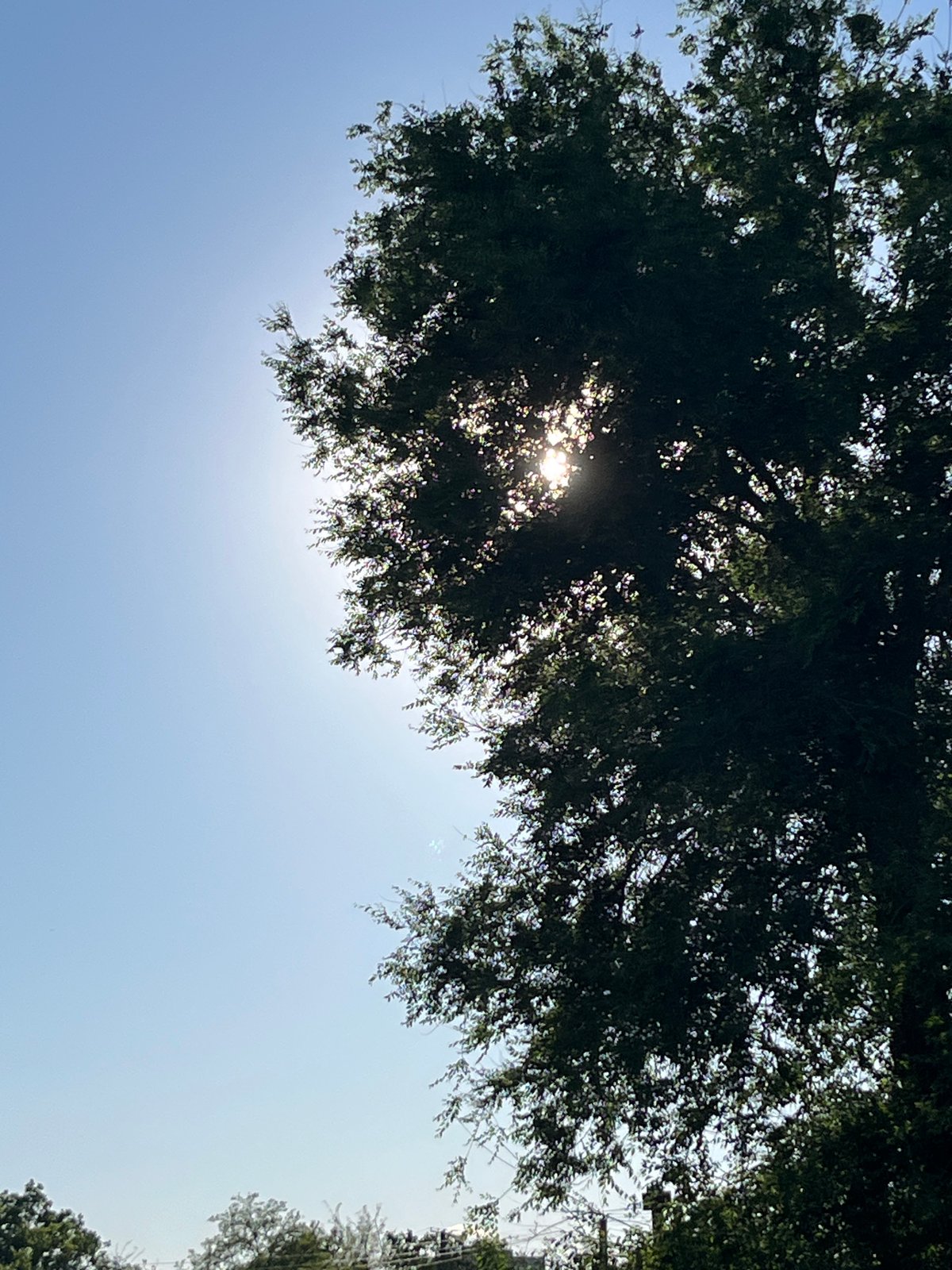 Spring afternoon walk documented in Kryvyi Rih, Ukraine