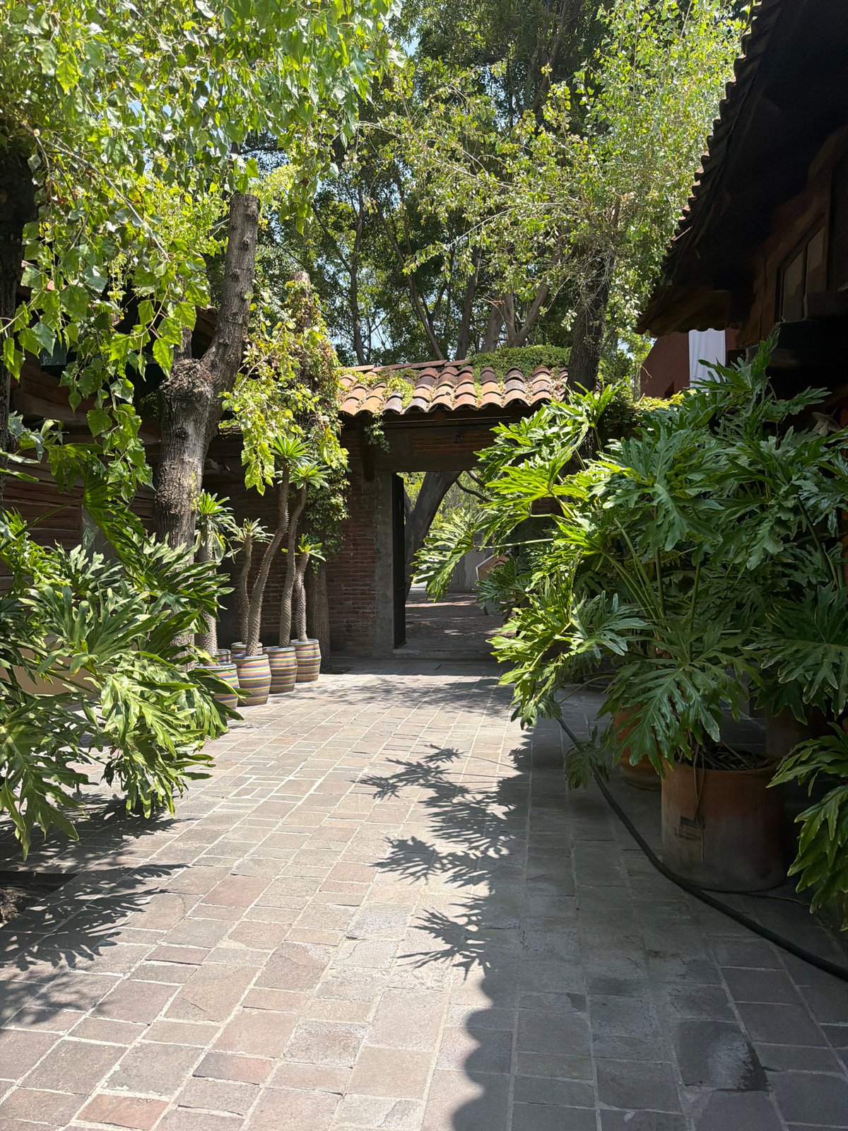 Empty sunlit courtyard documented in Puebla, Mexico