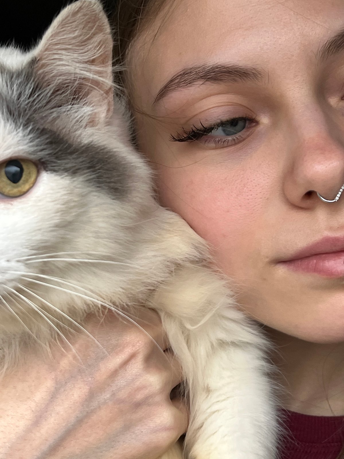 Morning sightings of residents captured in Фоки, Russia