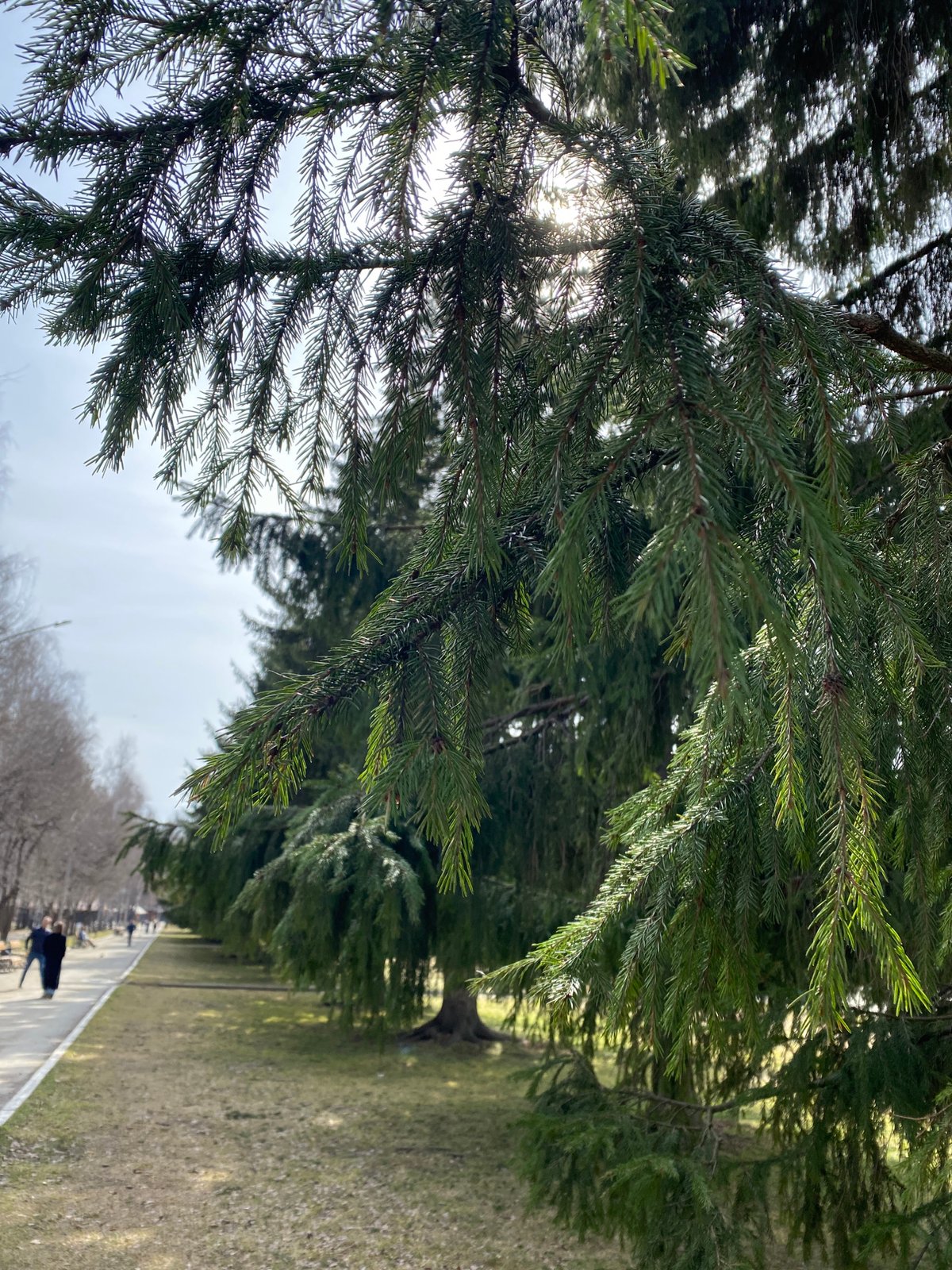 Morning scenes documented across Yekaterinburg, Russia