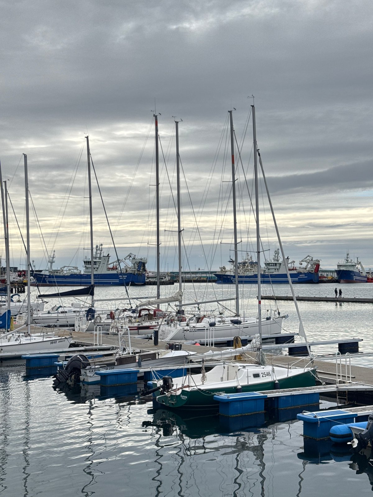 Witness captures everyday Reykjavik harbor and street scenes