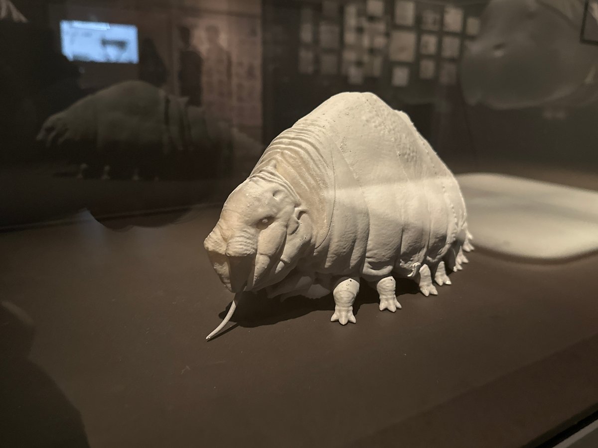 Evening museum visits documented at LA Academy Museum