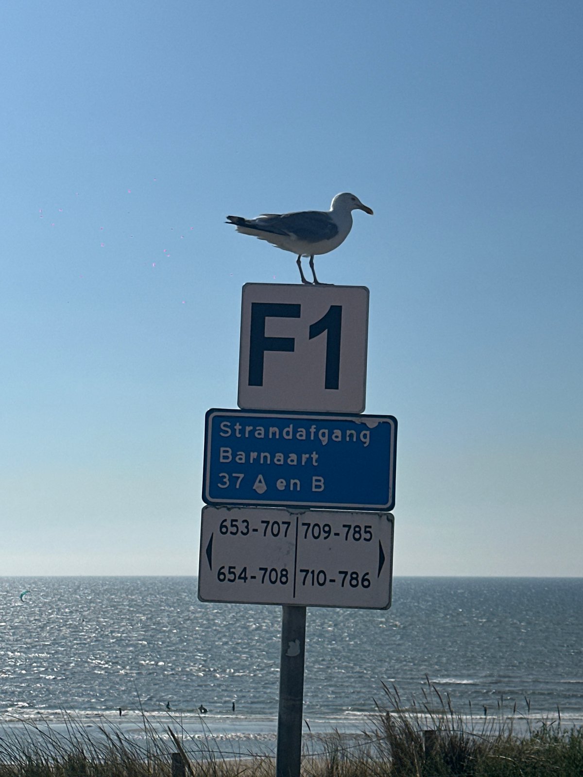 Zandvoort beach in full summer swing, F1 signage and all