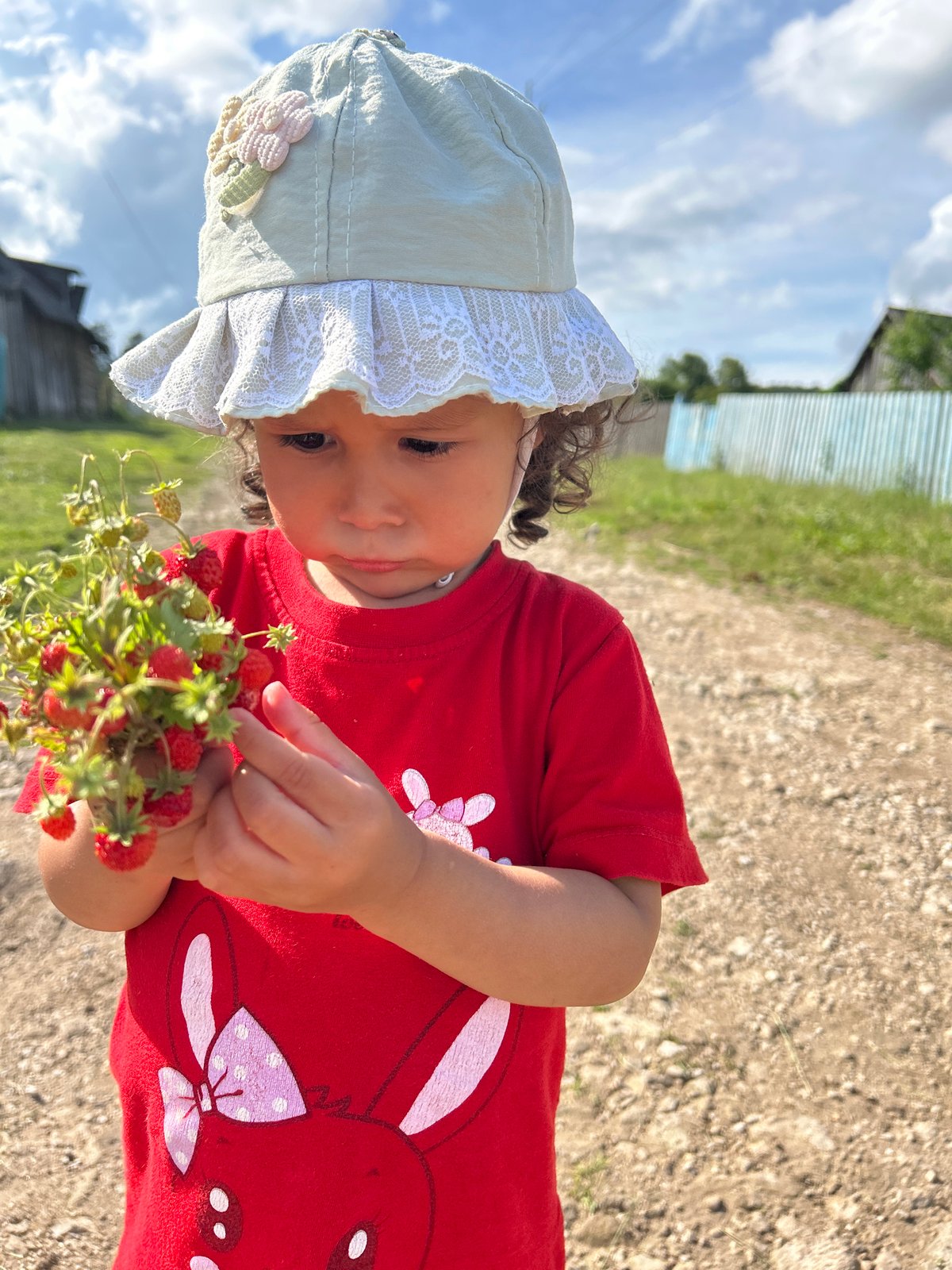 Wild strawberries picked on a rural road in rural Russia