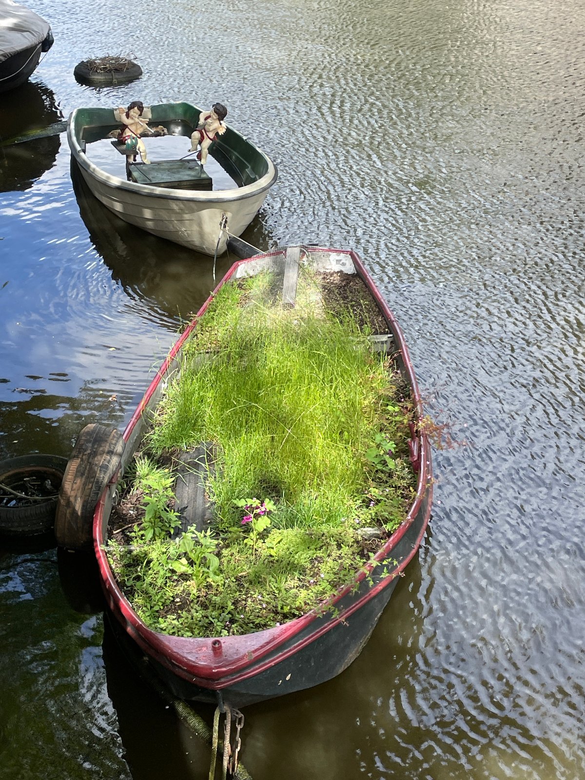 Tourist documents Amsterdam canal district scenes during sunny afternoon