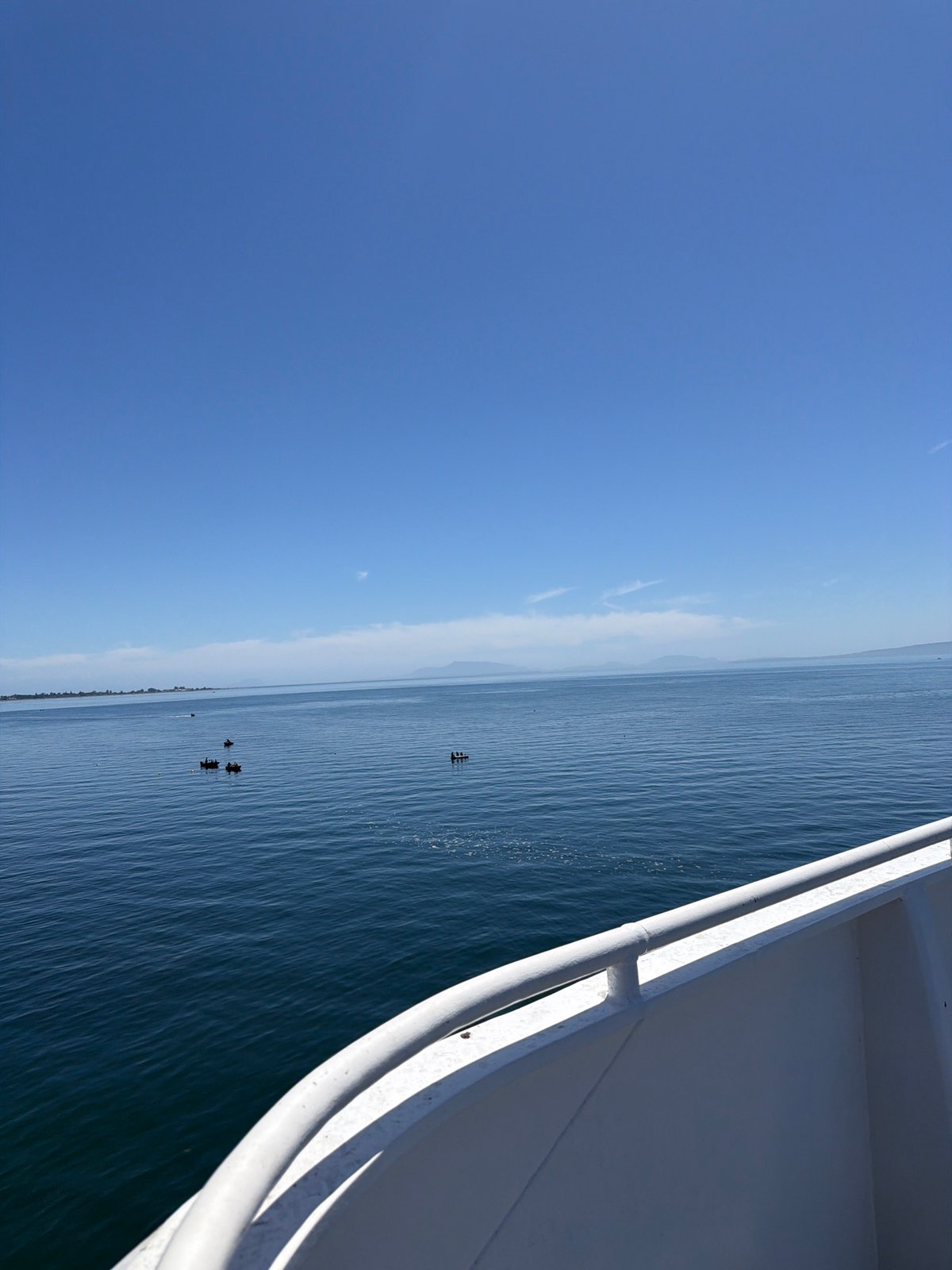 Ferry crossing near Delta with calm water views and a dog on deck