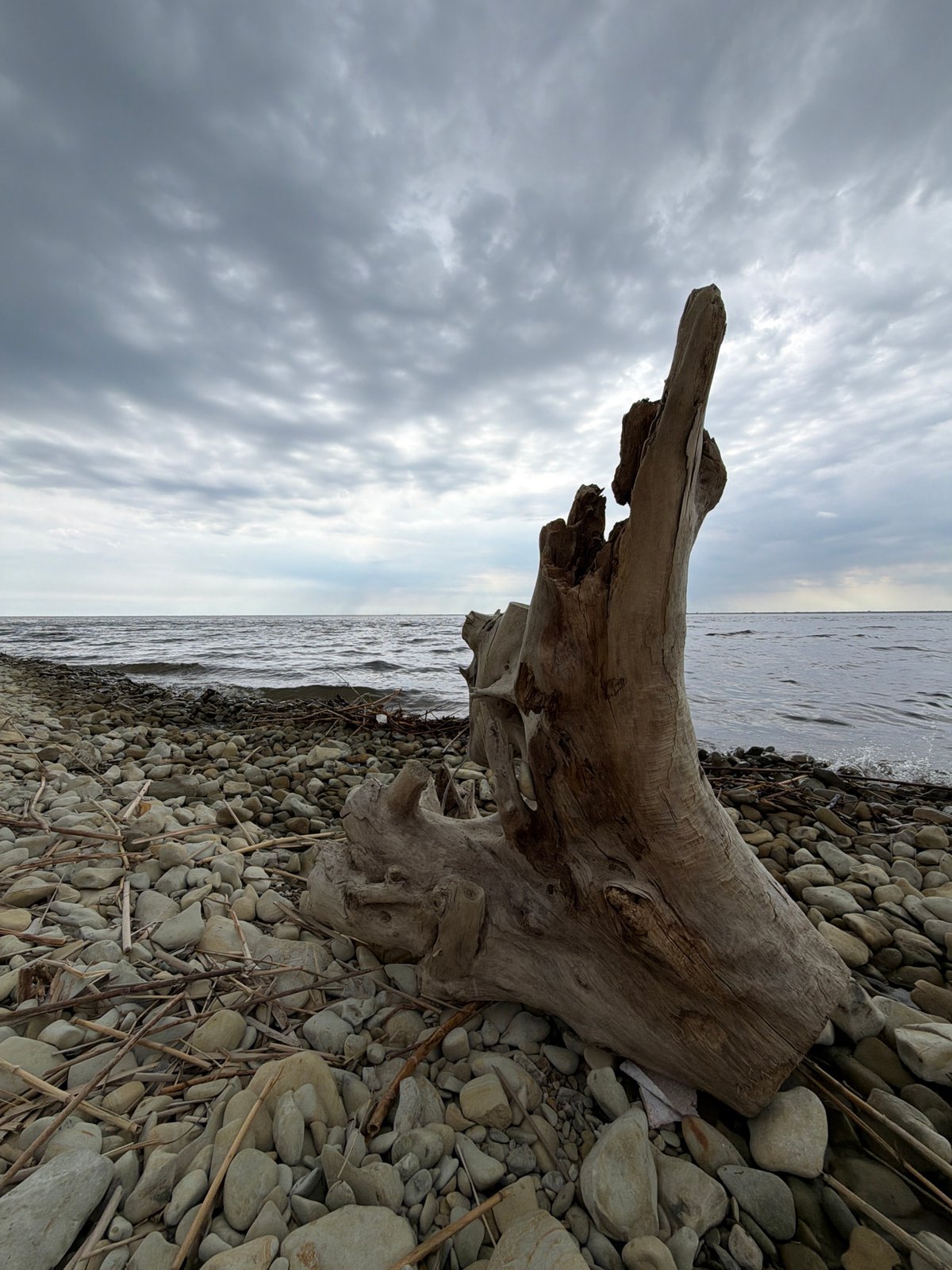 Morning shoreline visit documented near Kamyshin, Russia