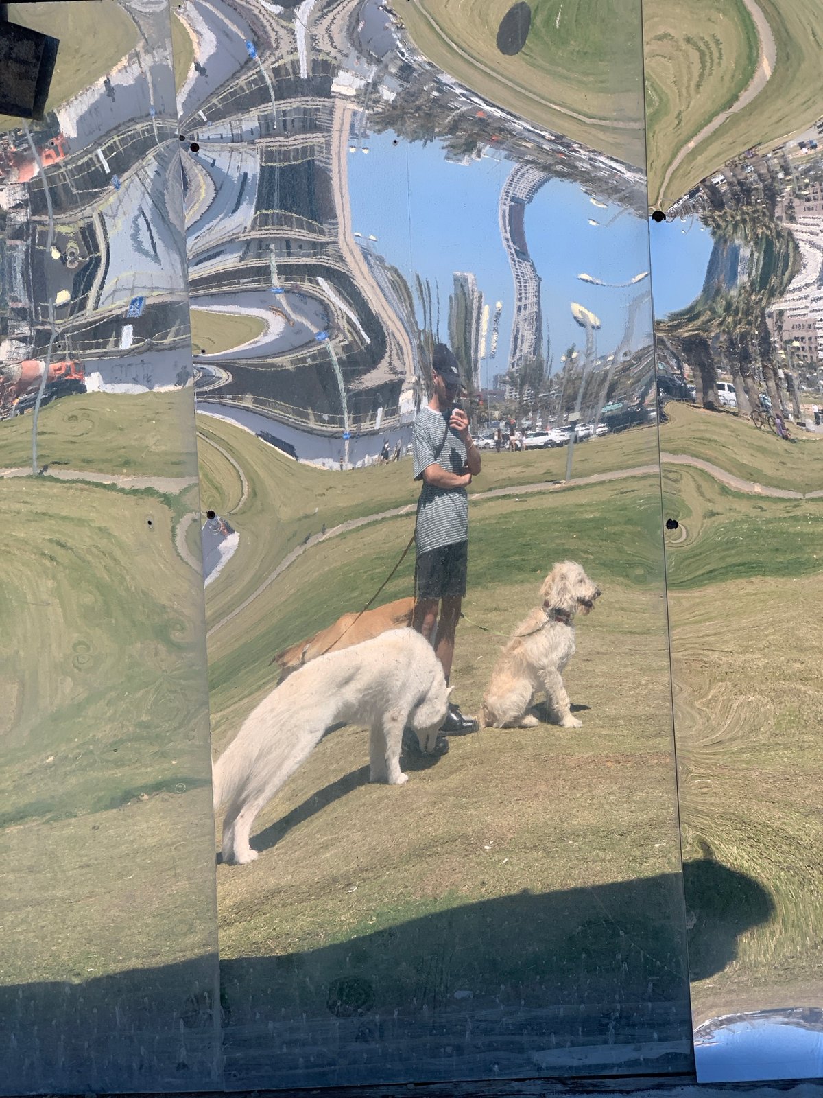 Person with two dogs reflected in Tel Aviv surface
