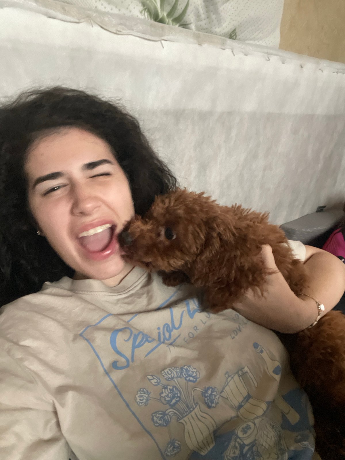 Woman and poodle share quiet afternoon moments in Sofia home