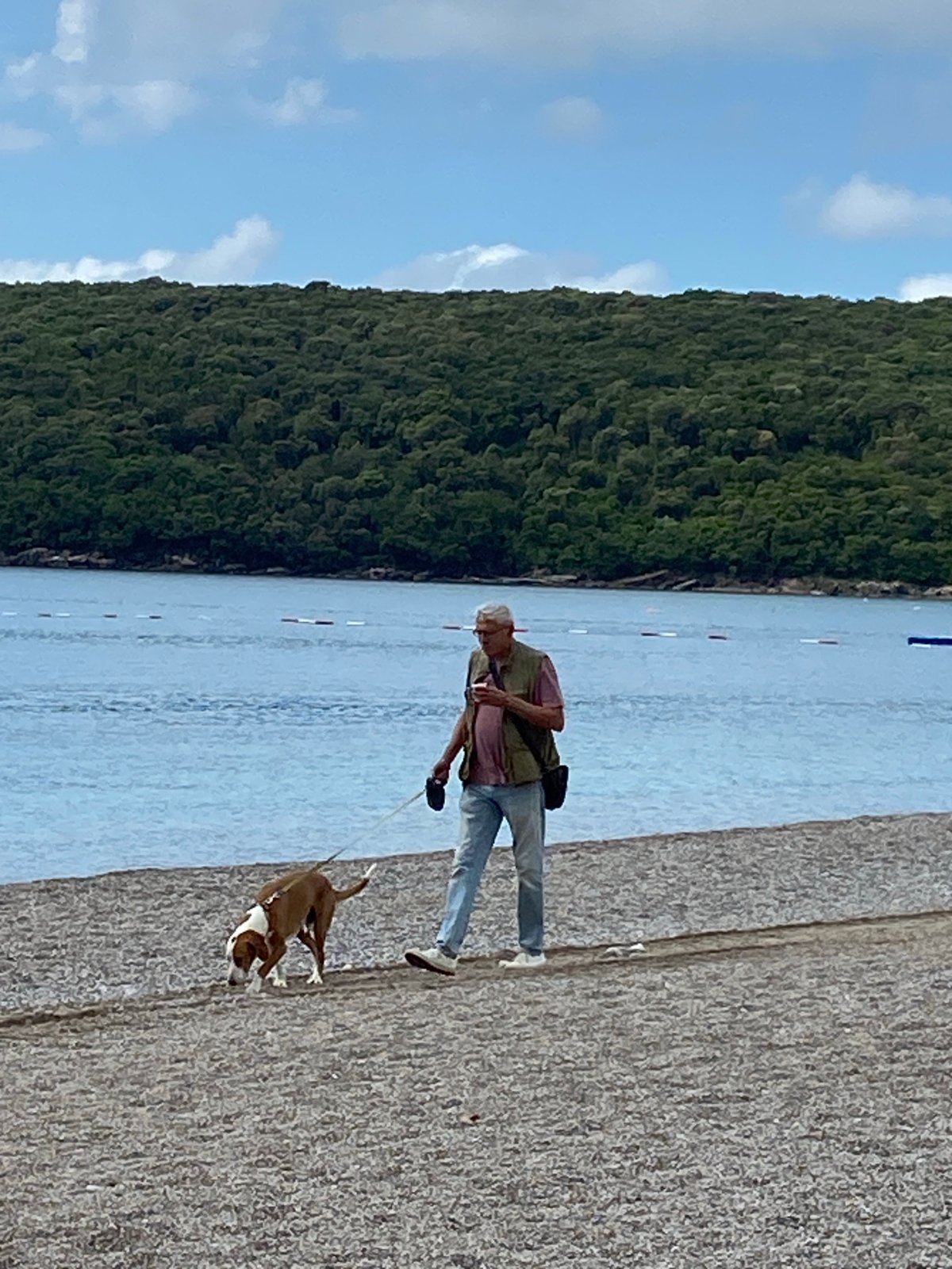 Morning recreational scenes captured along Prijevor Montenegro waterfront