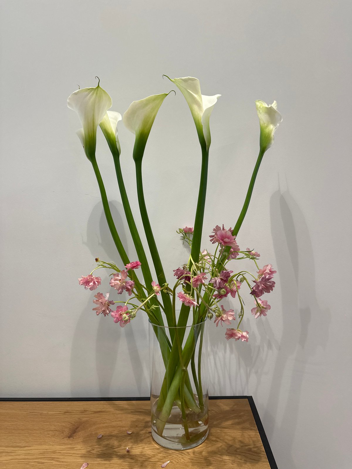 Morning scenes captured in Milan: flowers and urban wildlife