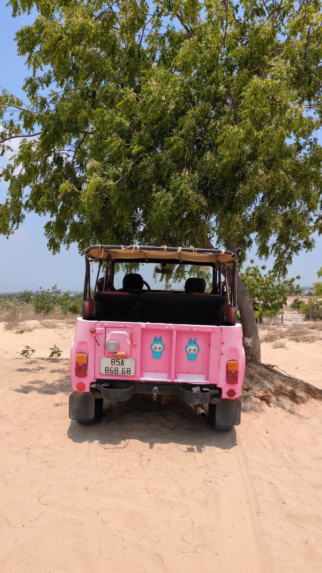 Off-road vehicles spotted in sandy terrain near Phuoc Dinh