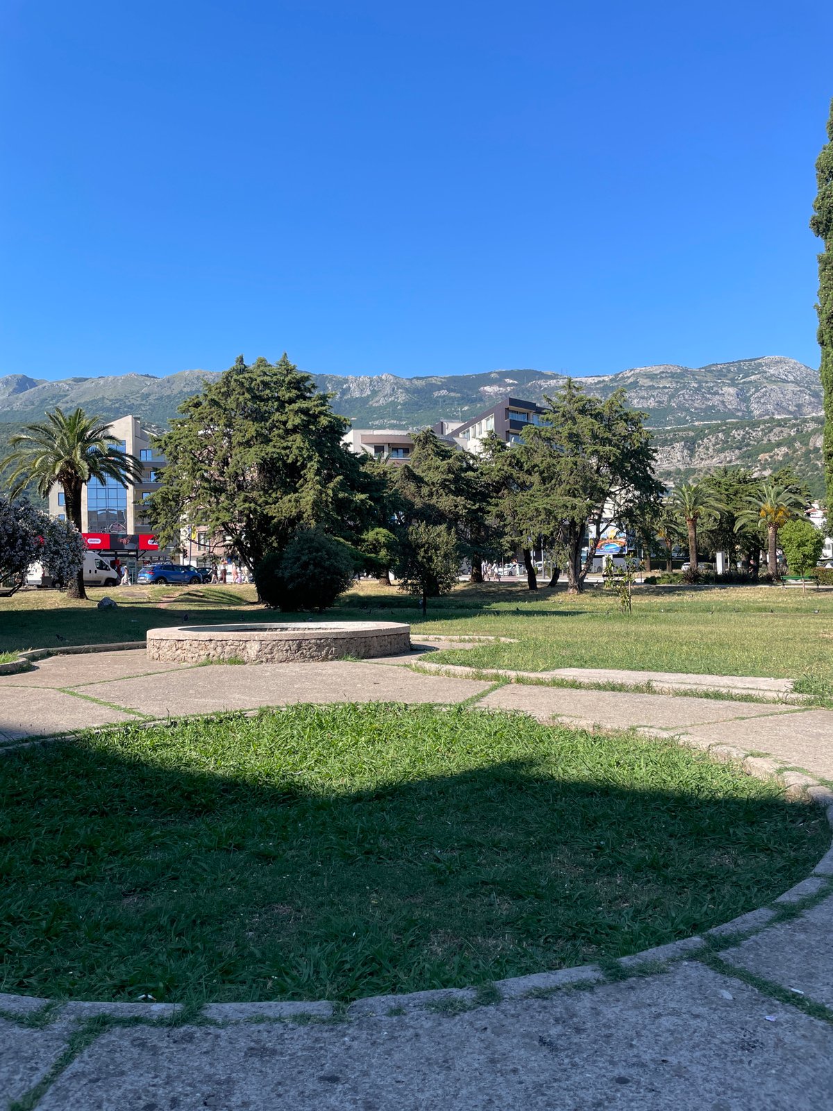 Sunny afternoon wandering Budva's streets, parks, and animals