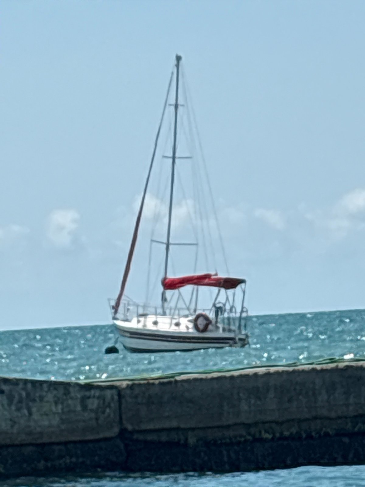 Summer day in Sochi: home life, kids, cats, and the sea