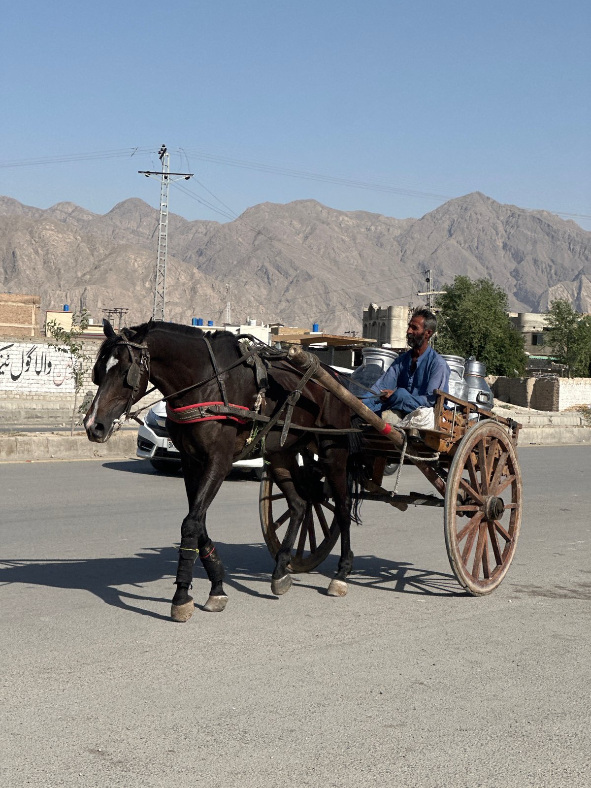 Horse-drawn cart travels asphalt road in Quetta, Pakistan