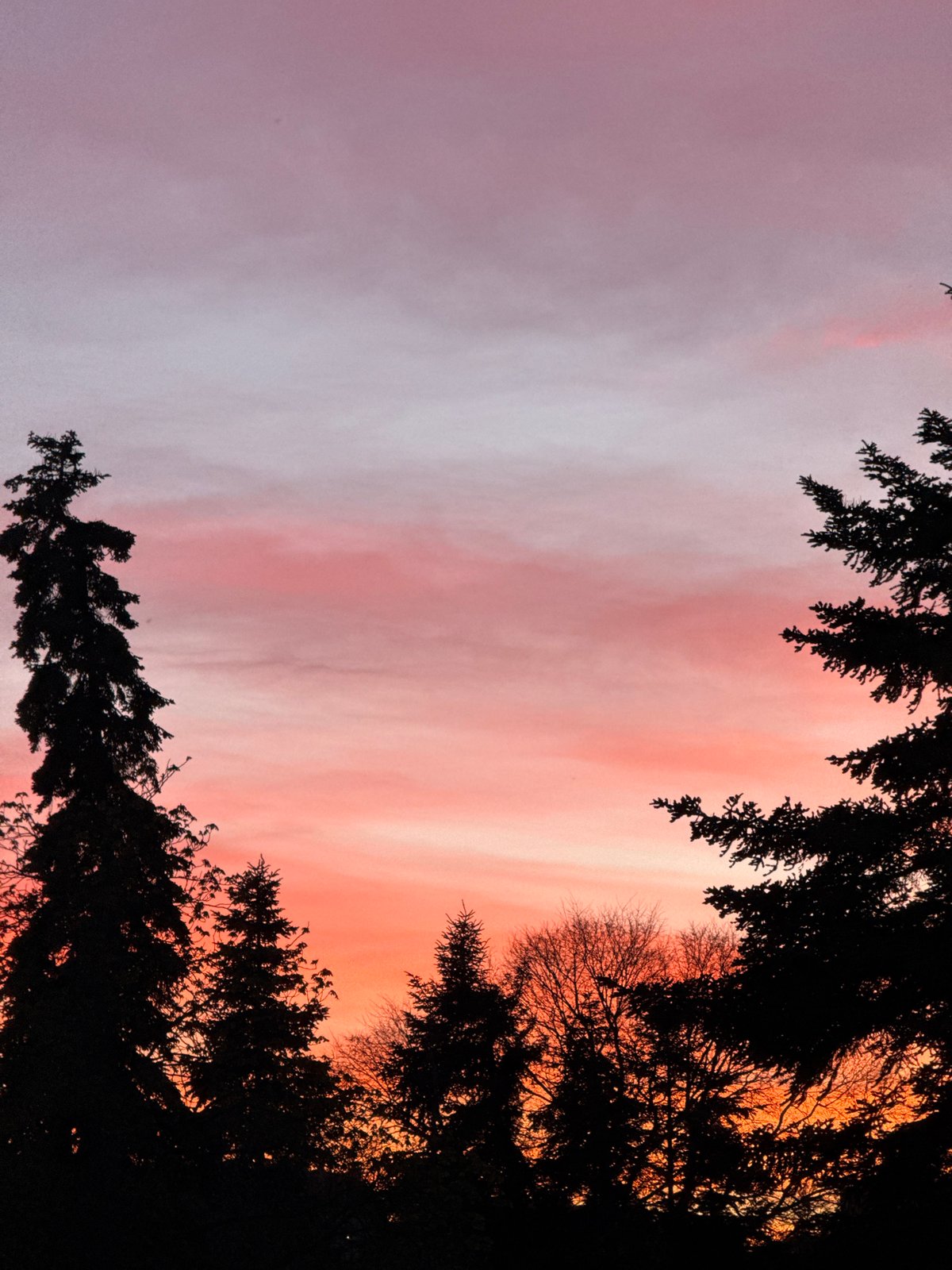 Witness documents colorful twilight progression across Dobrich, Bulgaria parks