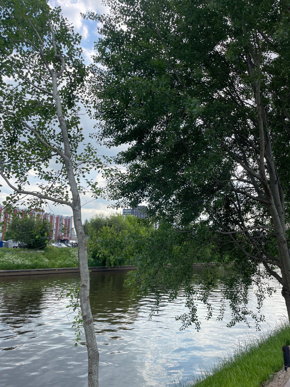 Spring morning scenes captured along Saint Petersburg waterways