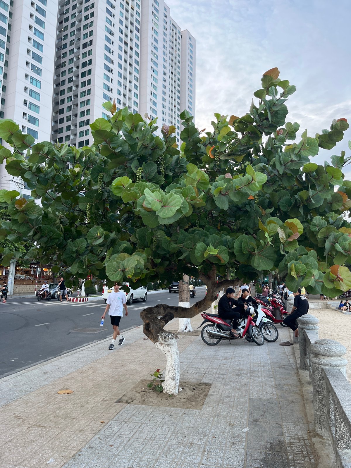 Morning beach soccer and street life in Nha Trang