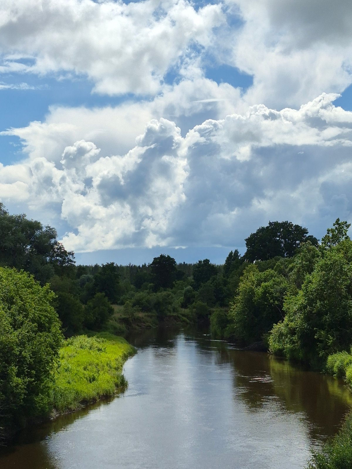 Along the Võhandu River: forests, ruins, and quiet details