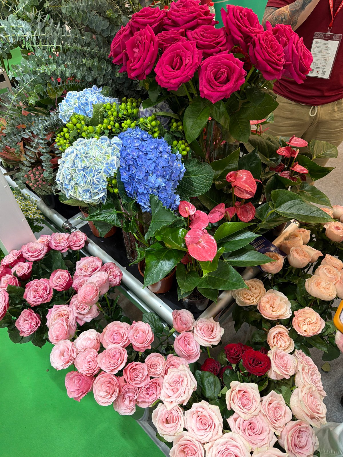 Early morning flower shop display documented in Haizhu District