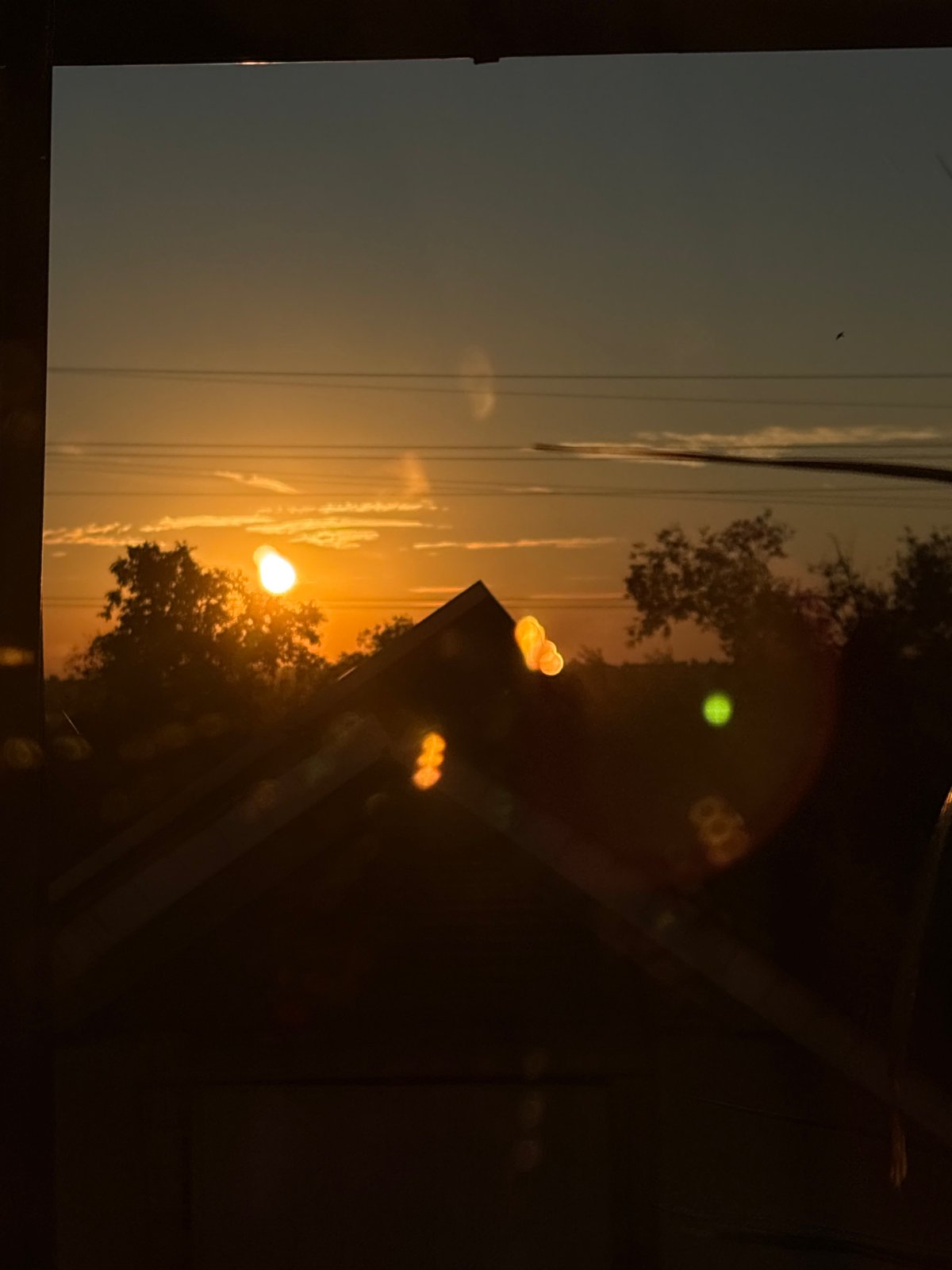 Sunset hour at home — sky, garden details, and backyard stillness