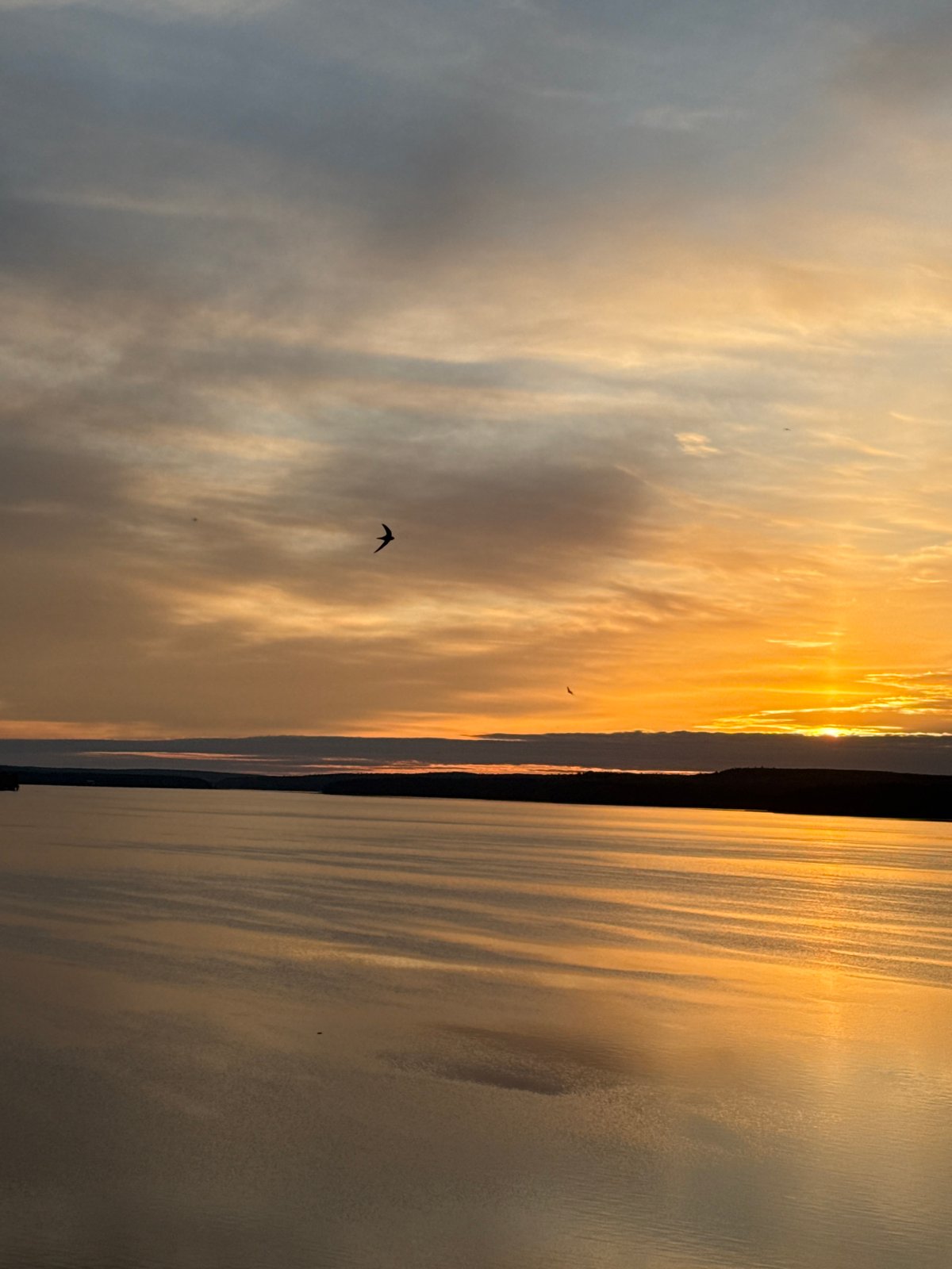 Sunset beer drinking session documented at Votkinsk Reservoir, Russia