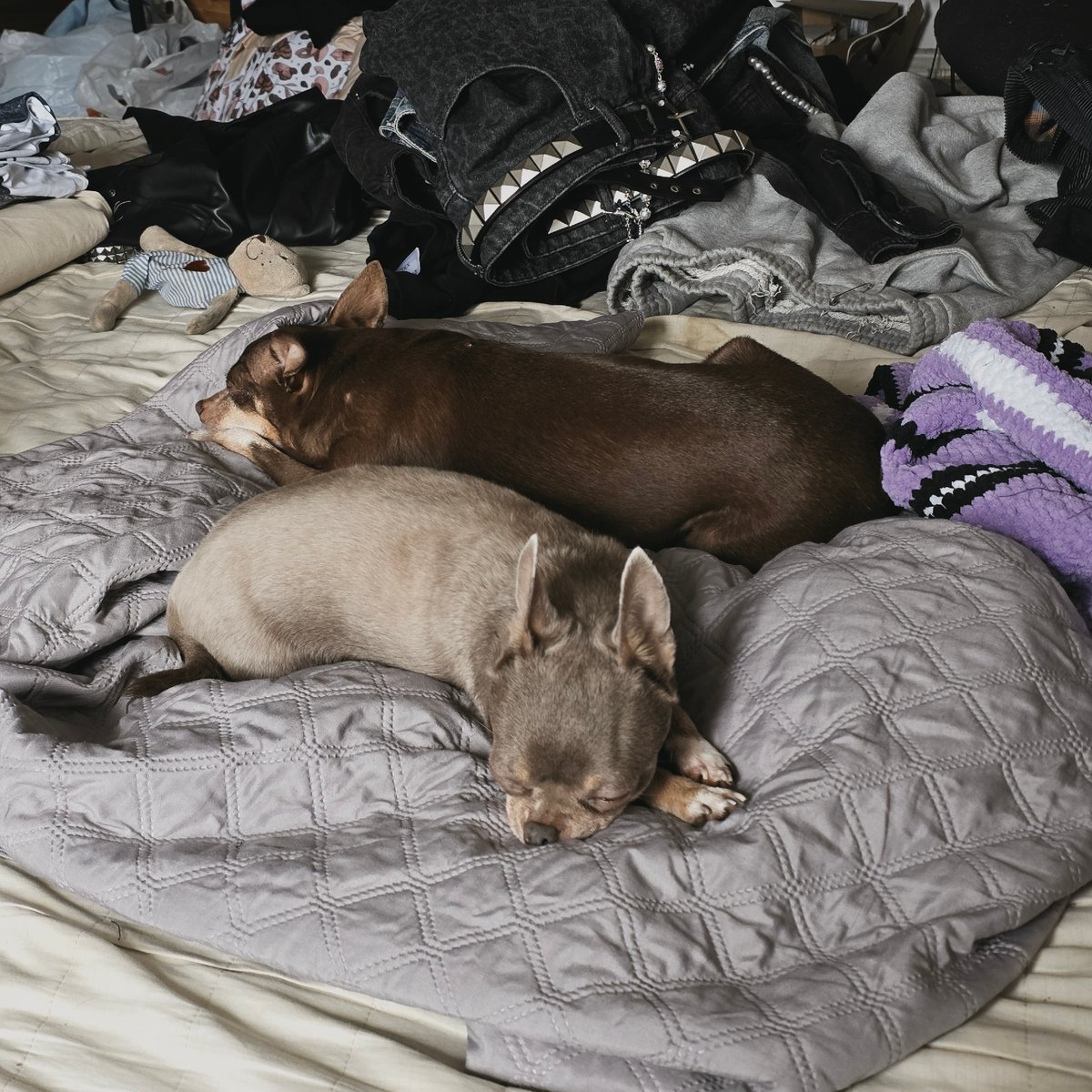 Messy bedroom scene documented in Saint Petersburg apartment