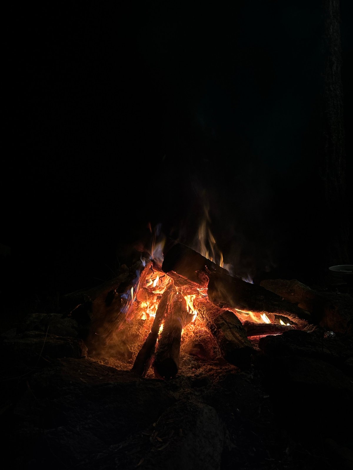 Fishing and campfire on a calm lake shoreline