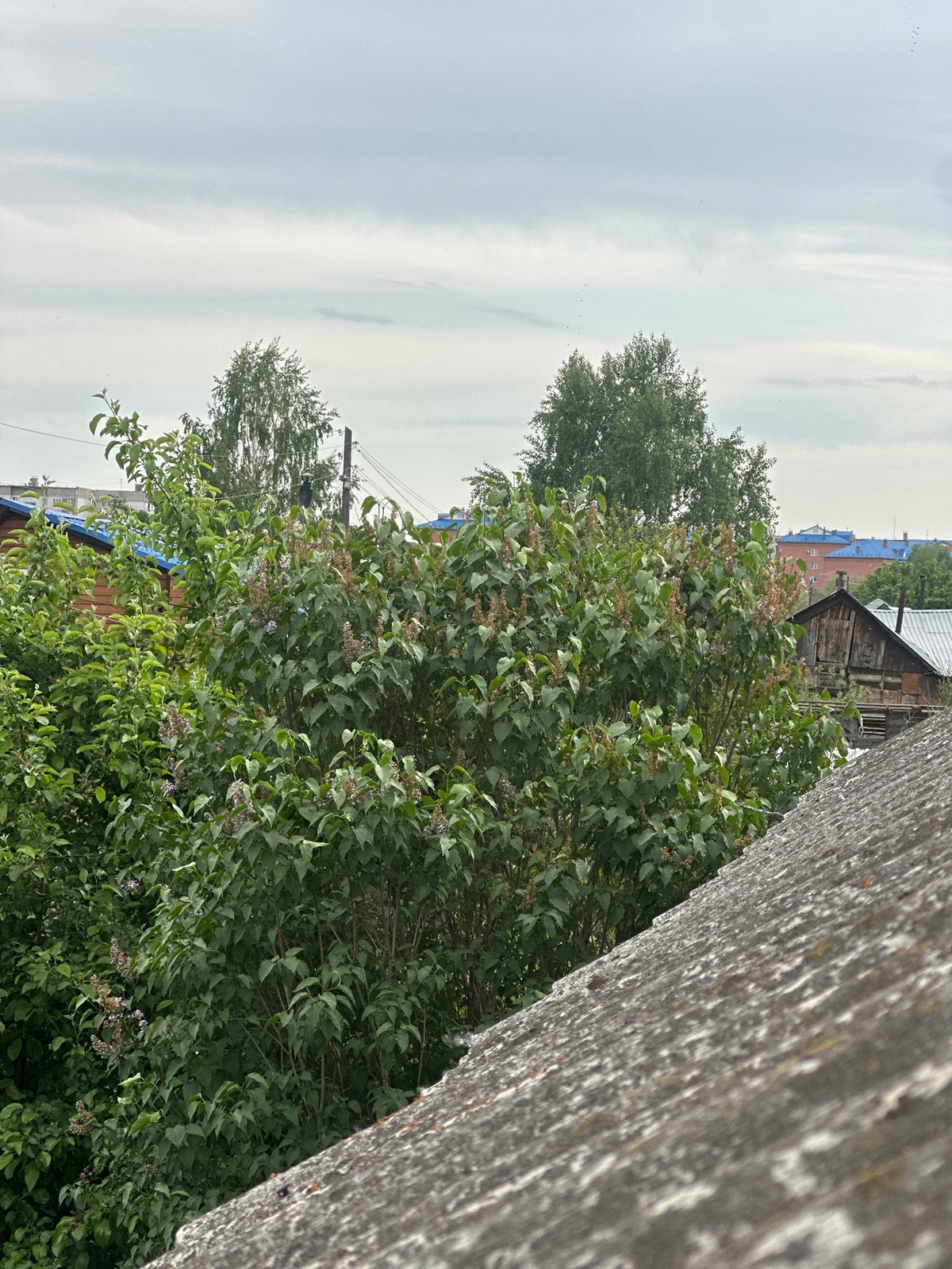 Ordinary moments documented in Biysk residential area over morning hours