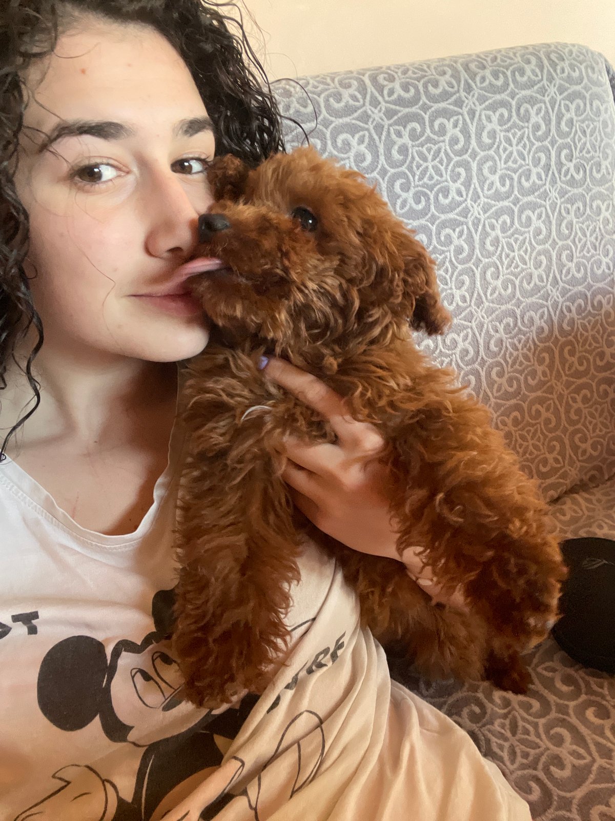 Woman enjoys quiet afternoon with poodle in Sofia home