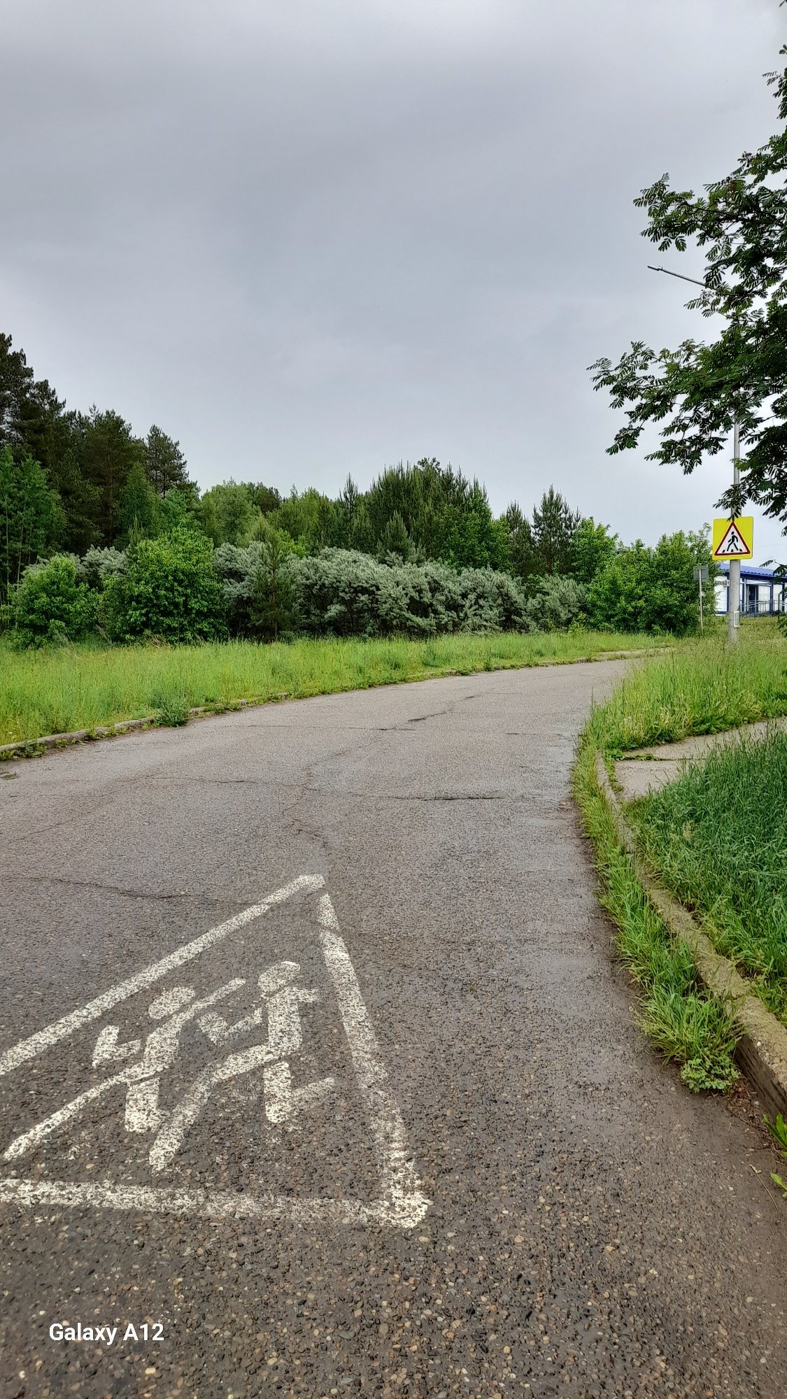 Early morning nature walk documented in rural Russia