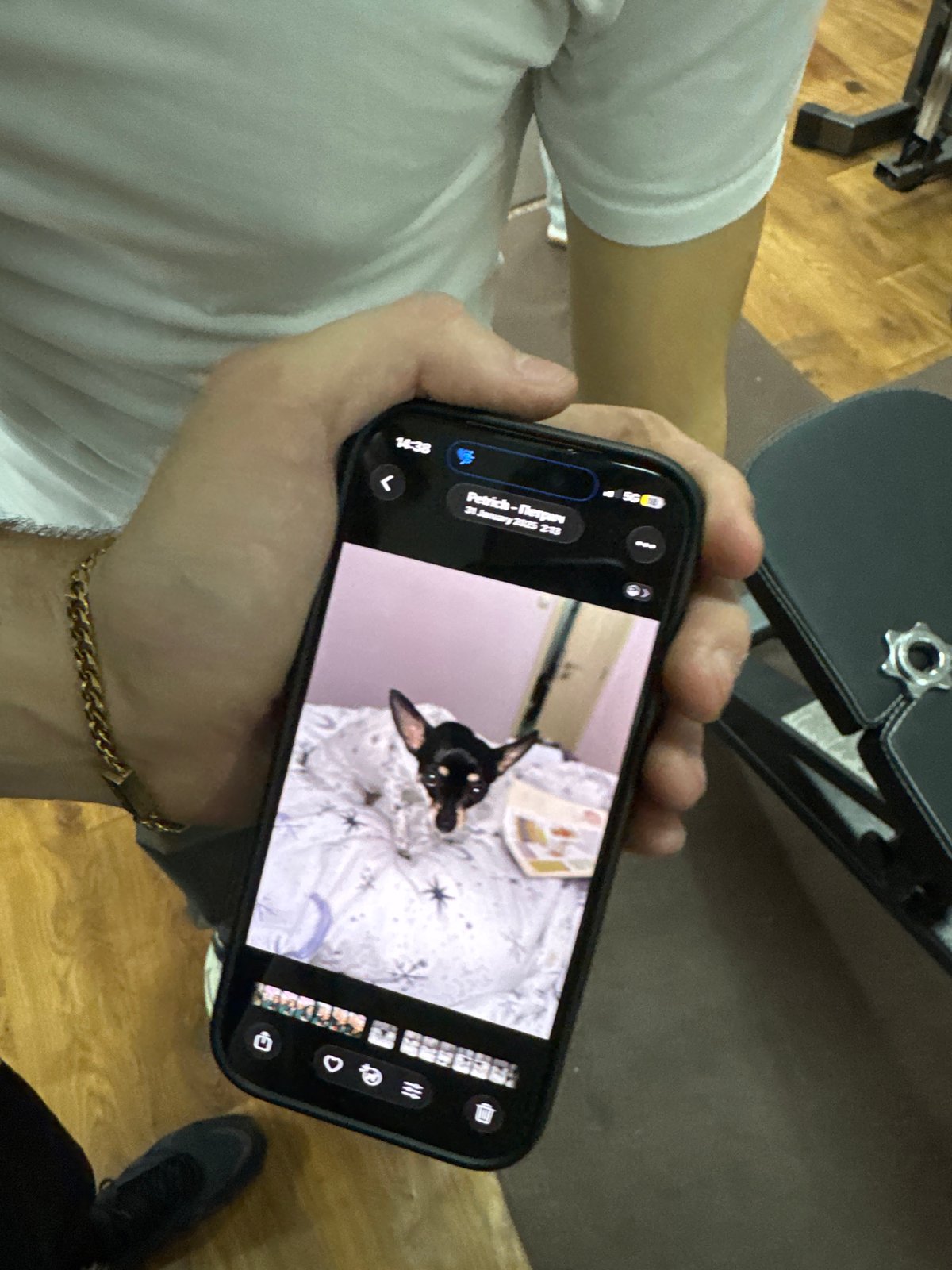 Person captured using smartphone in overhead view