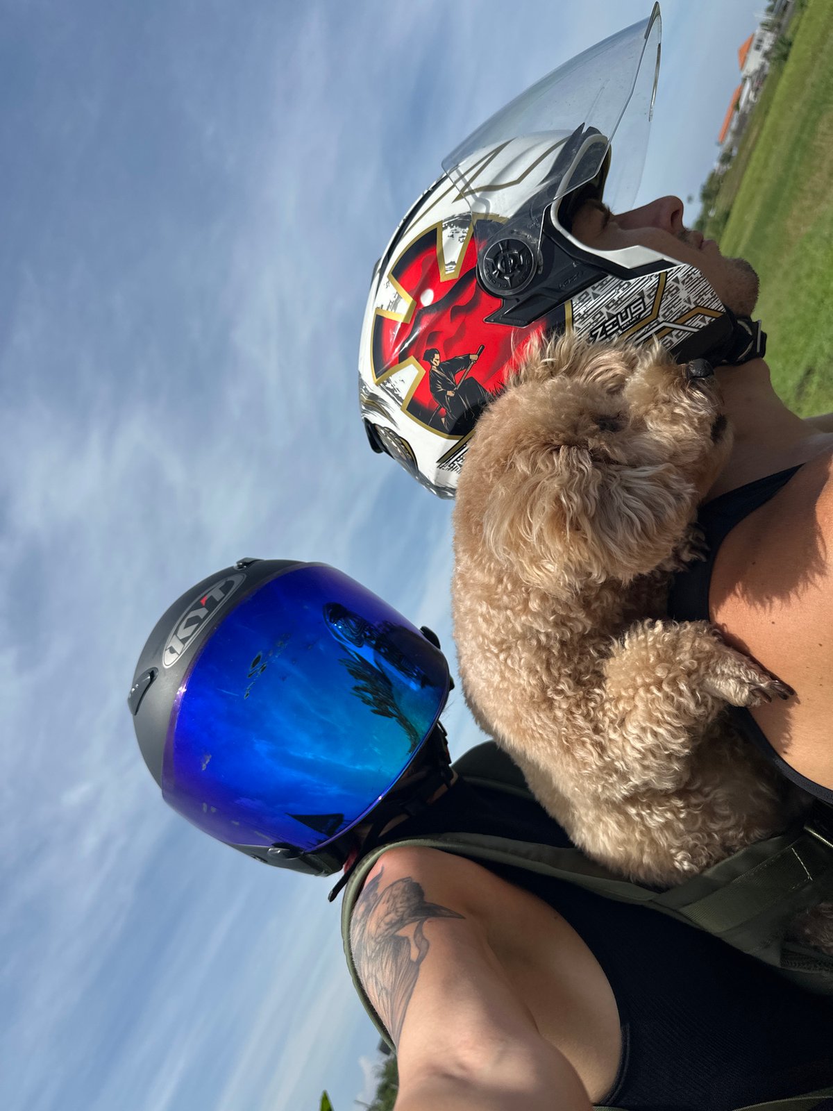 Motorcyclist rides with poodle passenger in North Kuta