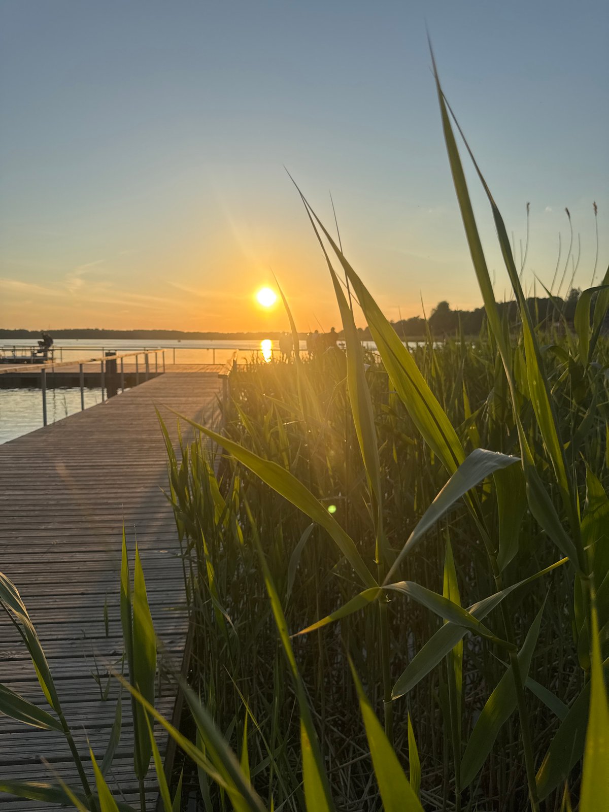 Golden hour sunset captured from wooden pier in Tallinn