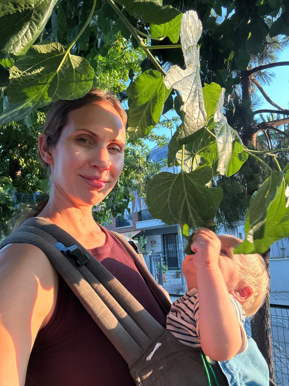 Golden hour stroll through Fethiye, kittens and all