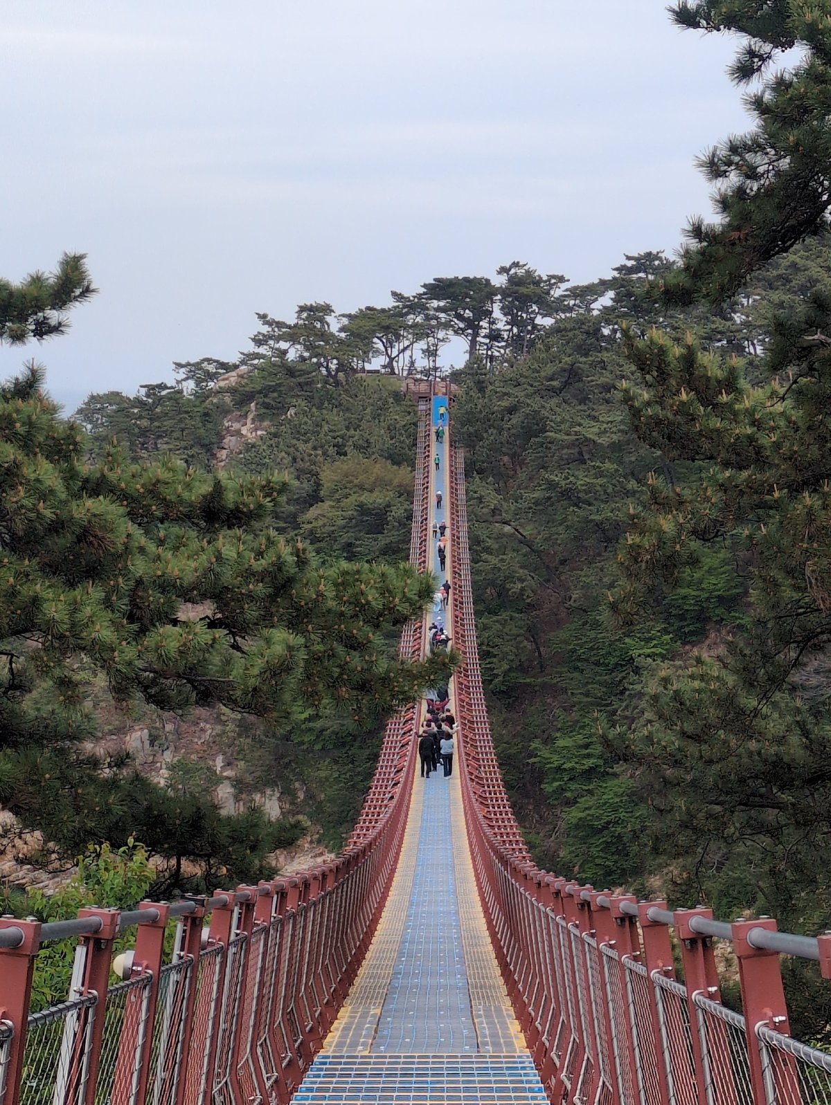 Morning documentation of Ulsan bridge and park scenery