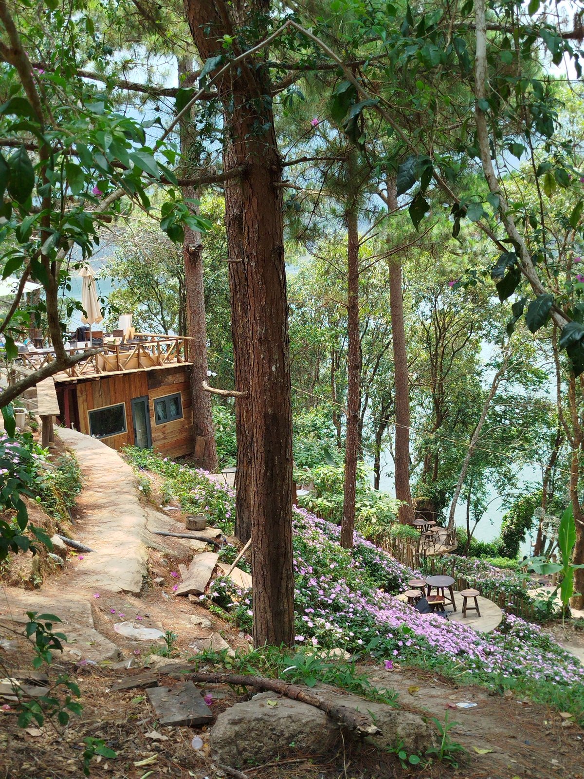 Morning lakeside scenes documented around Tuyen Lam Lake, Da Lat