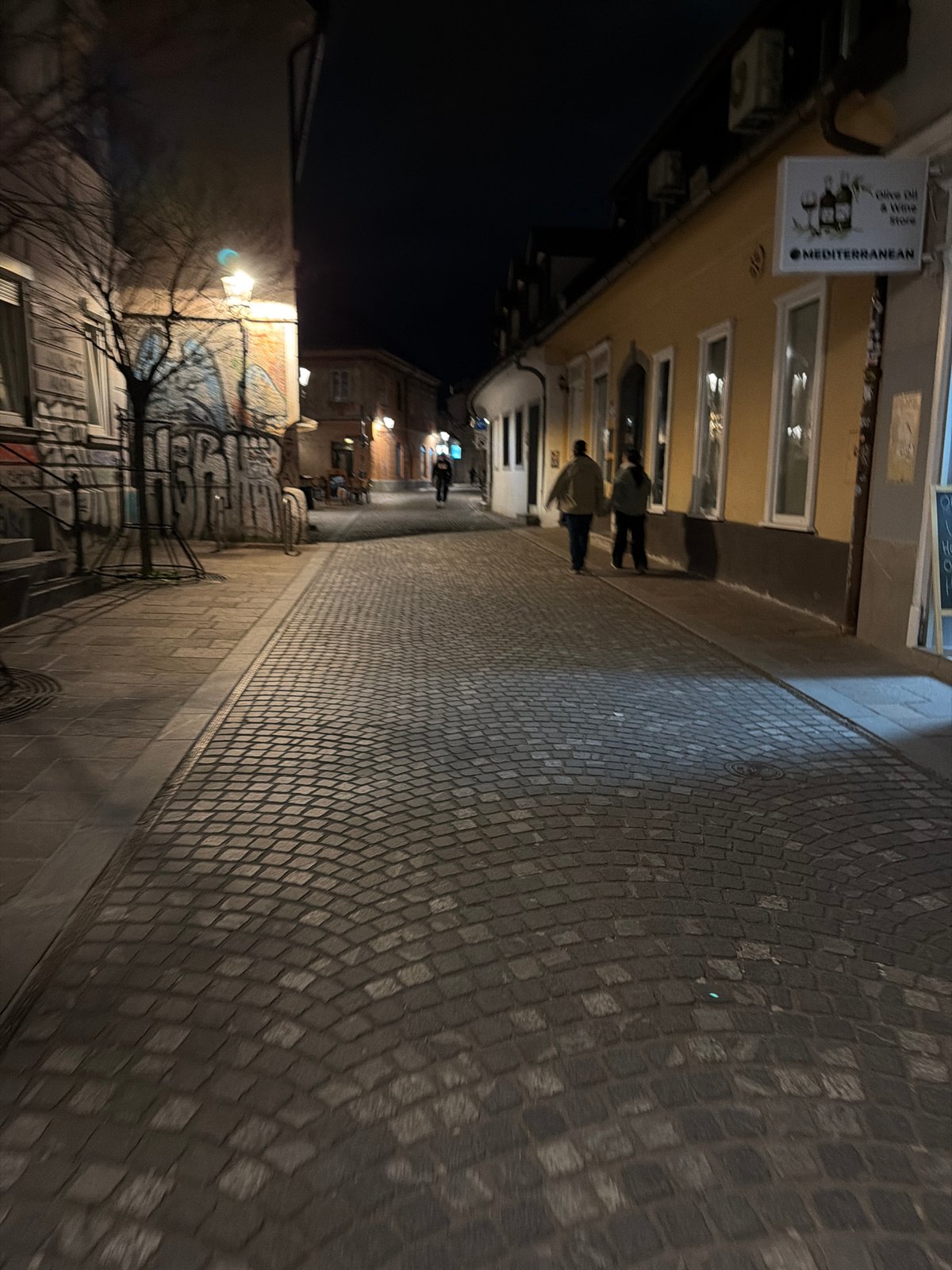 Evening street scenes captured across Ljubljana's illuminated city center