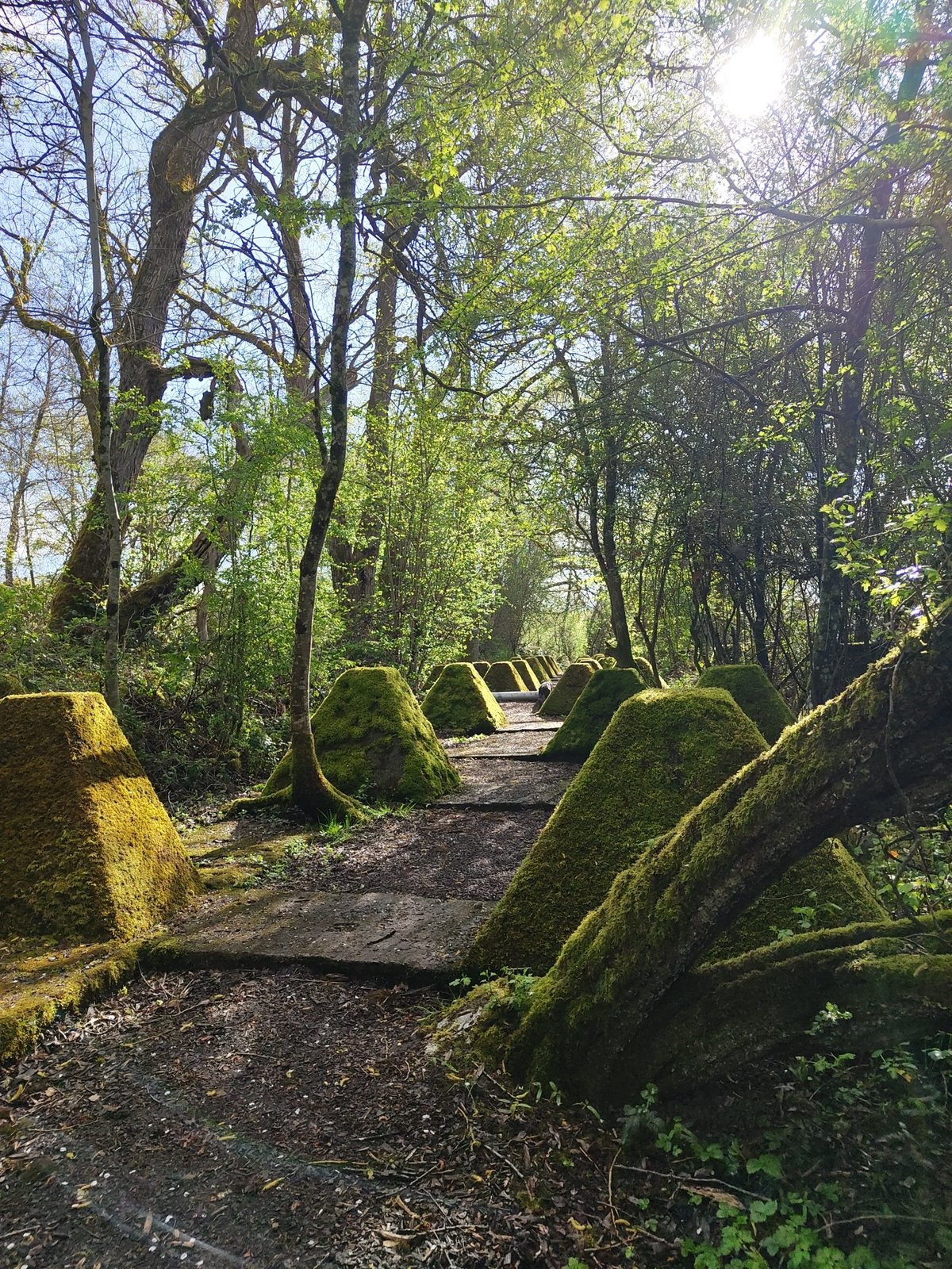 Morning walk documents WWII fortifications and countryside in Mettlach