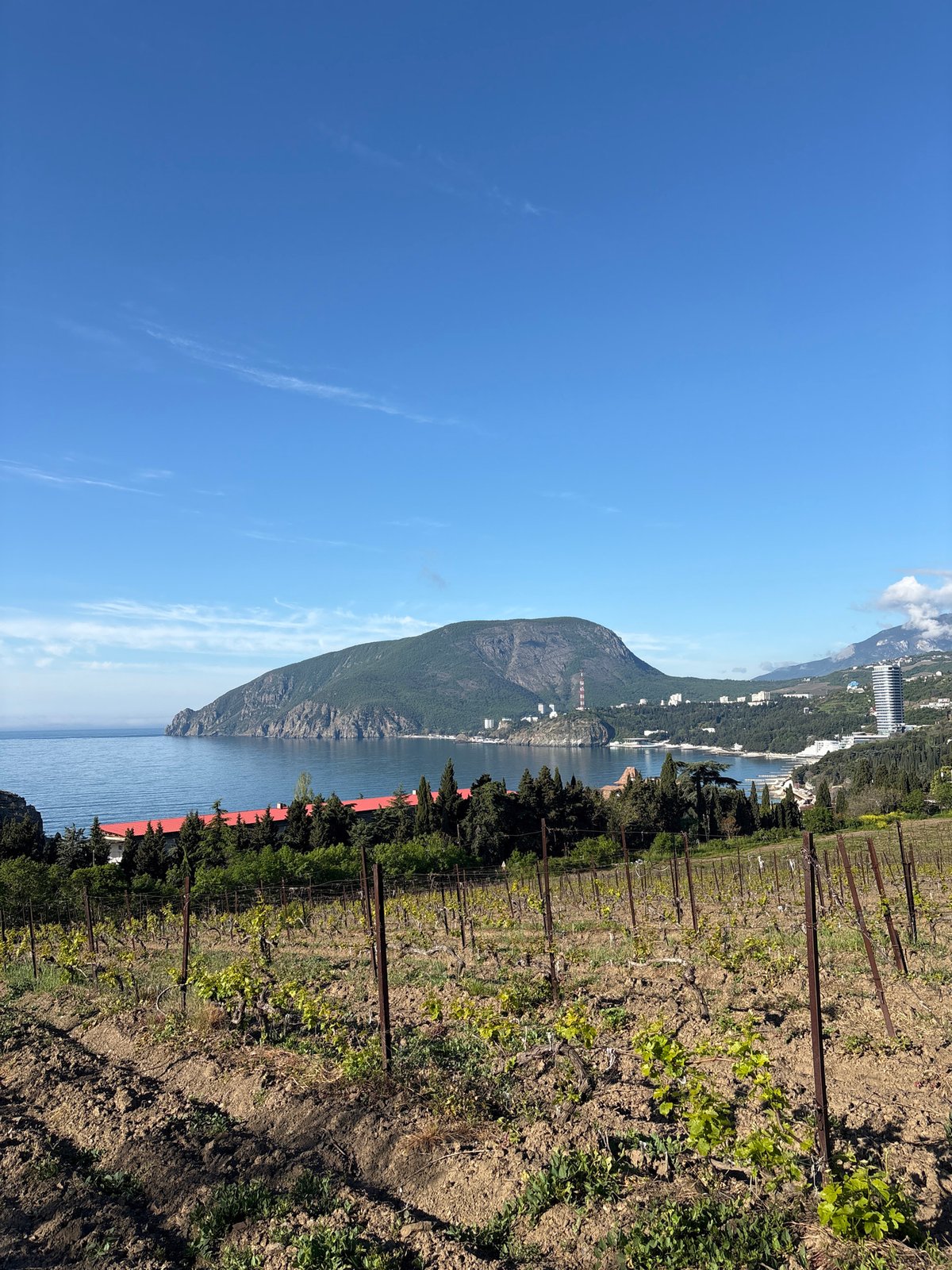 Vineyard workers tend coastal grape fields in Utios, Ukraine
