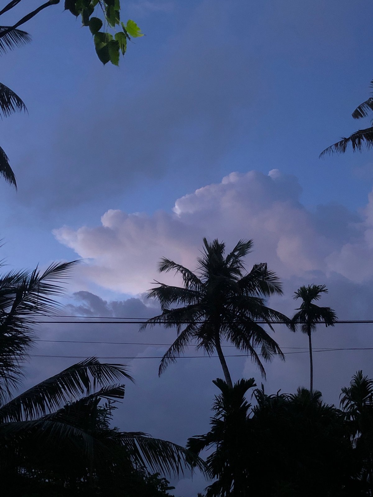 Buddhist temples and structures documented in Ahangama, Sri Lanka