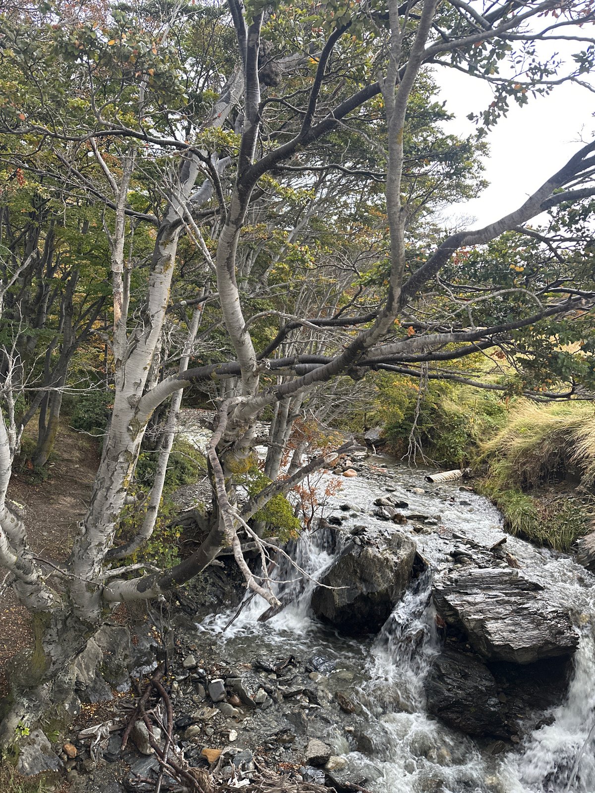 Stream flows over rocks captured in Ushuaia, Argentina