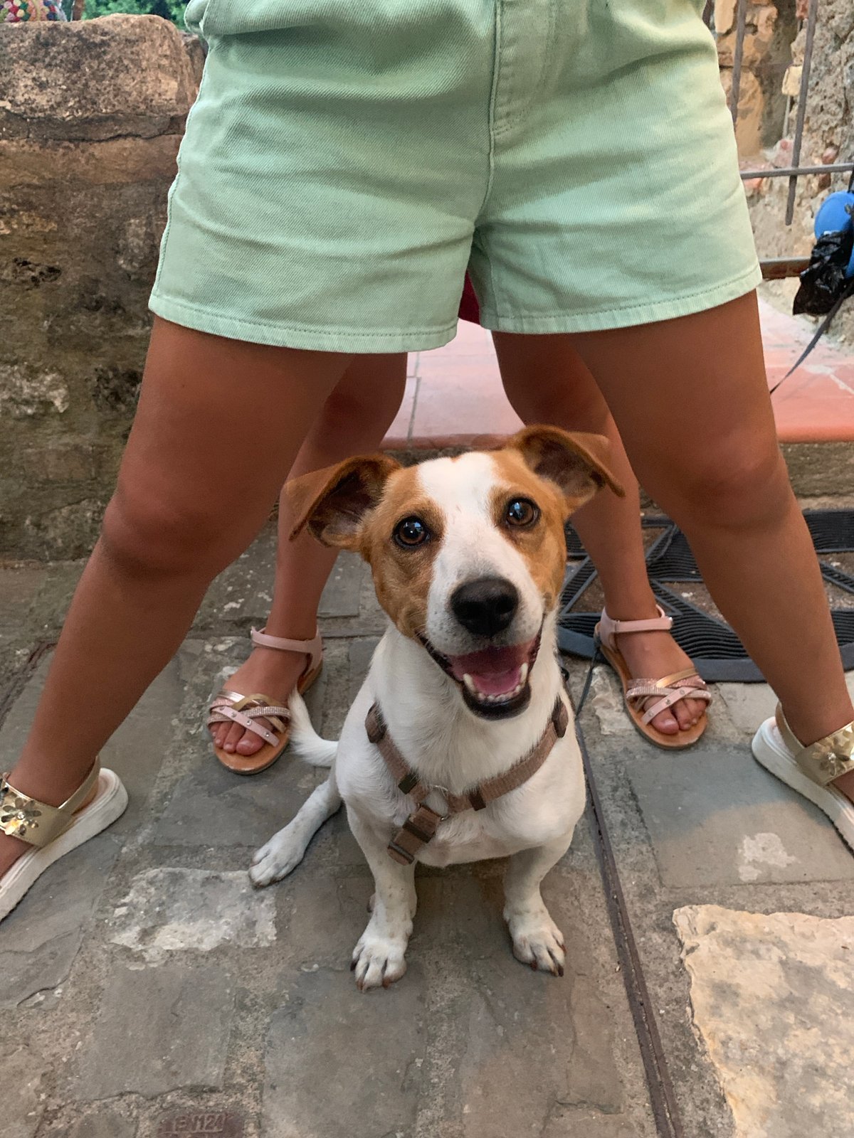 Dog and handstand: a quiet afternoon in Bagno Vignoni