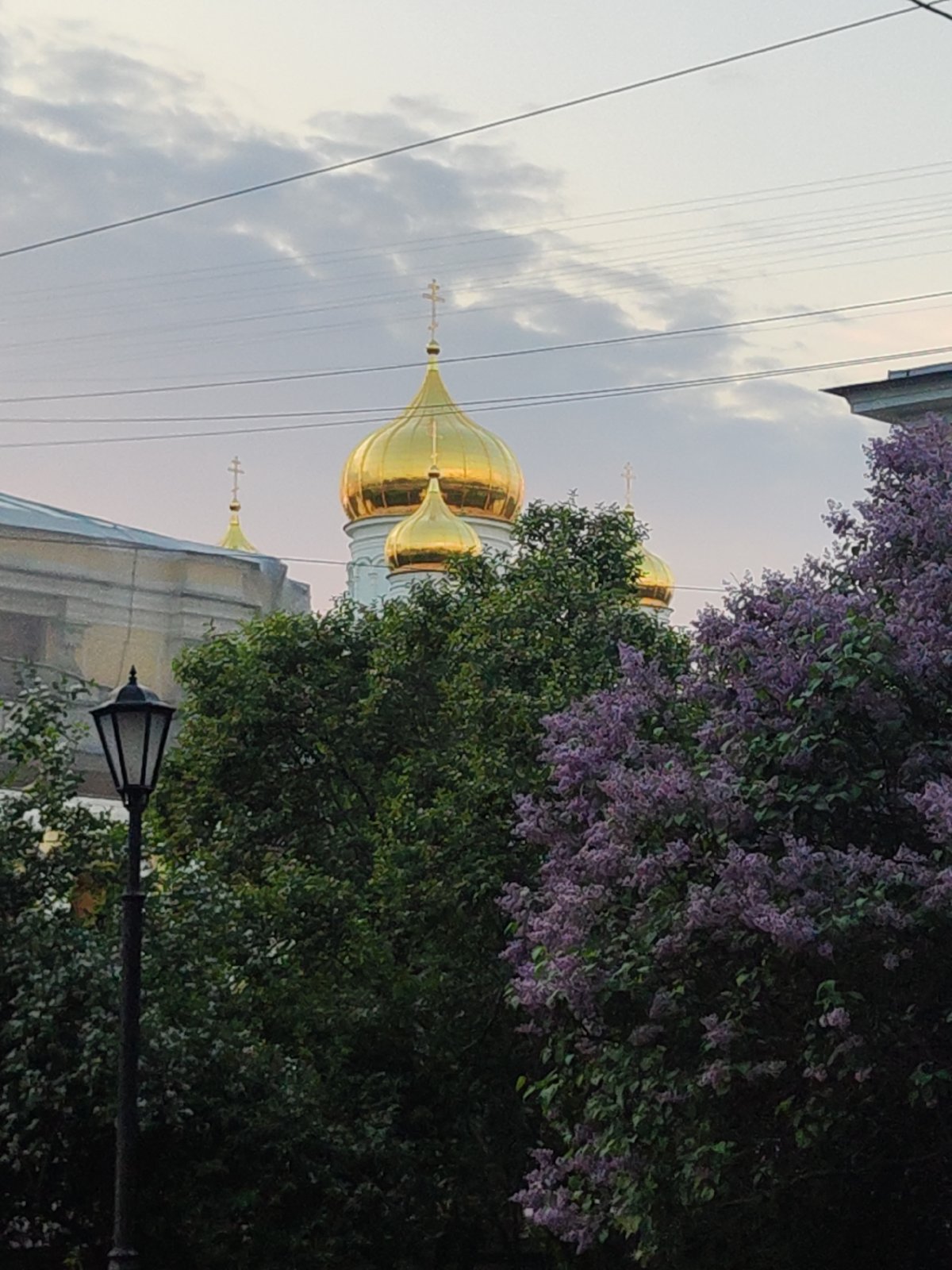 Spring blooms and urban scenes captured across Pushkin, Russia