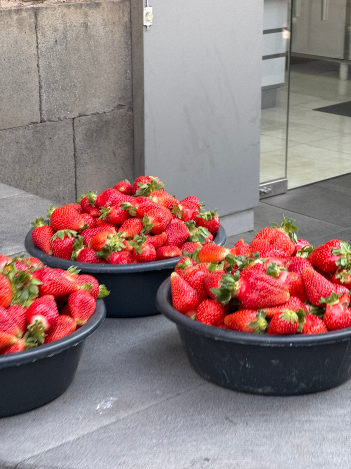 Fresh strawberries displayed in buckets on Yerevan street