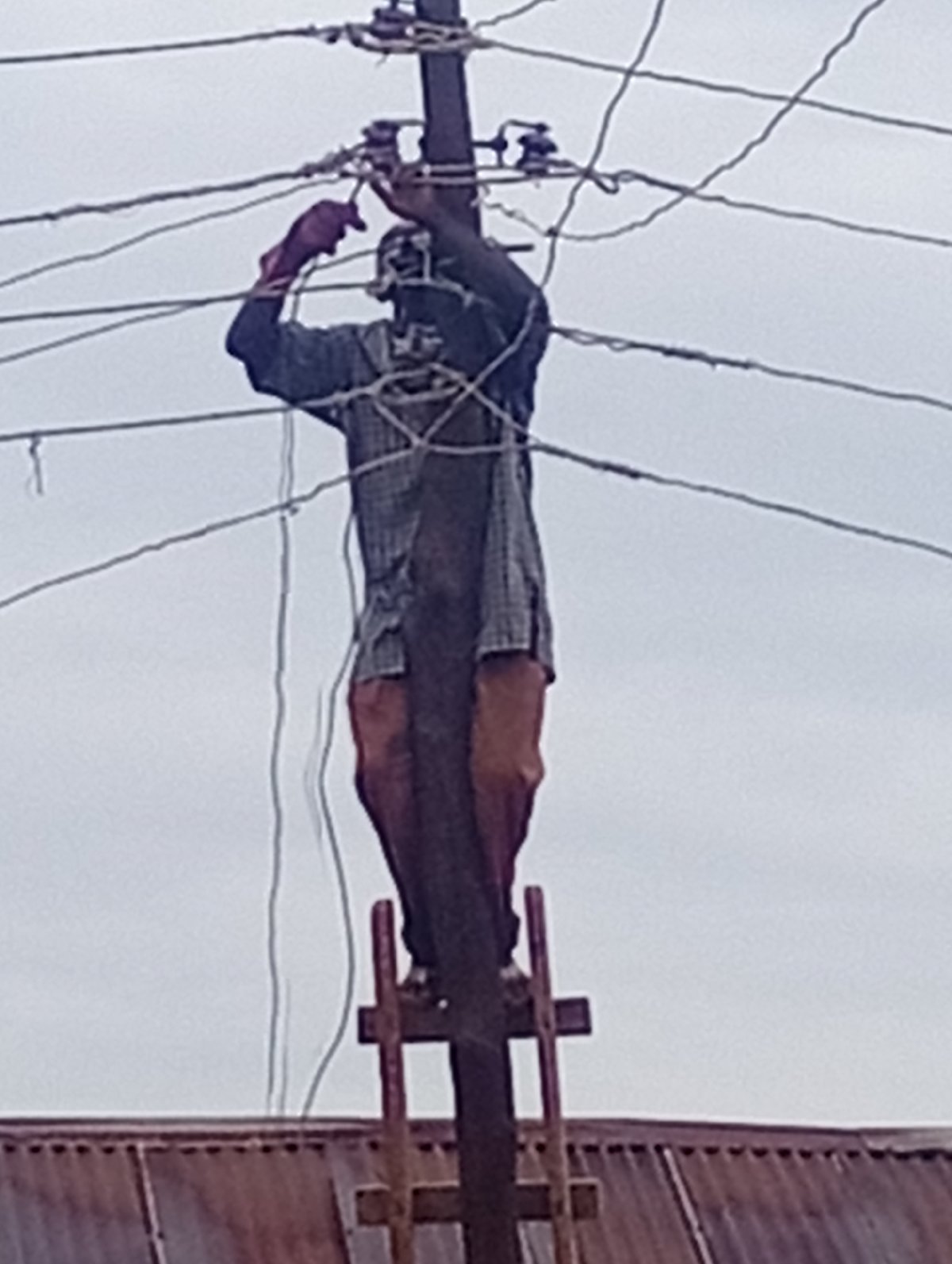 Man on ladder at electrical pole during morning hours