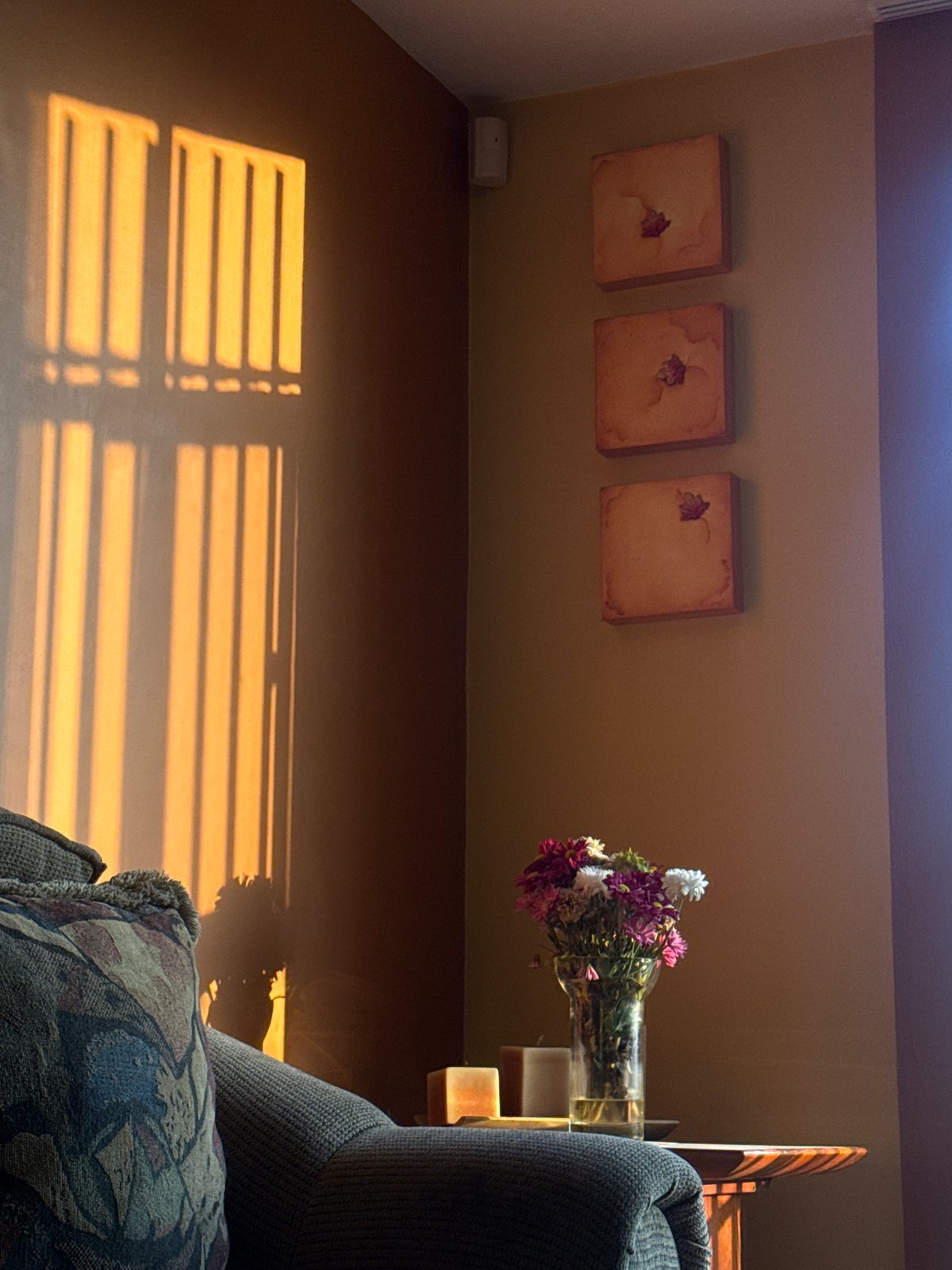 Sunlight through blinds creates striped patterns in decorated room