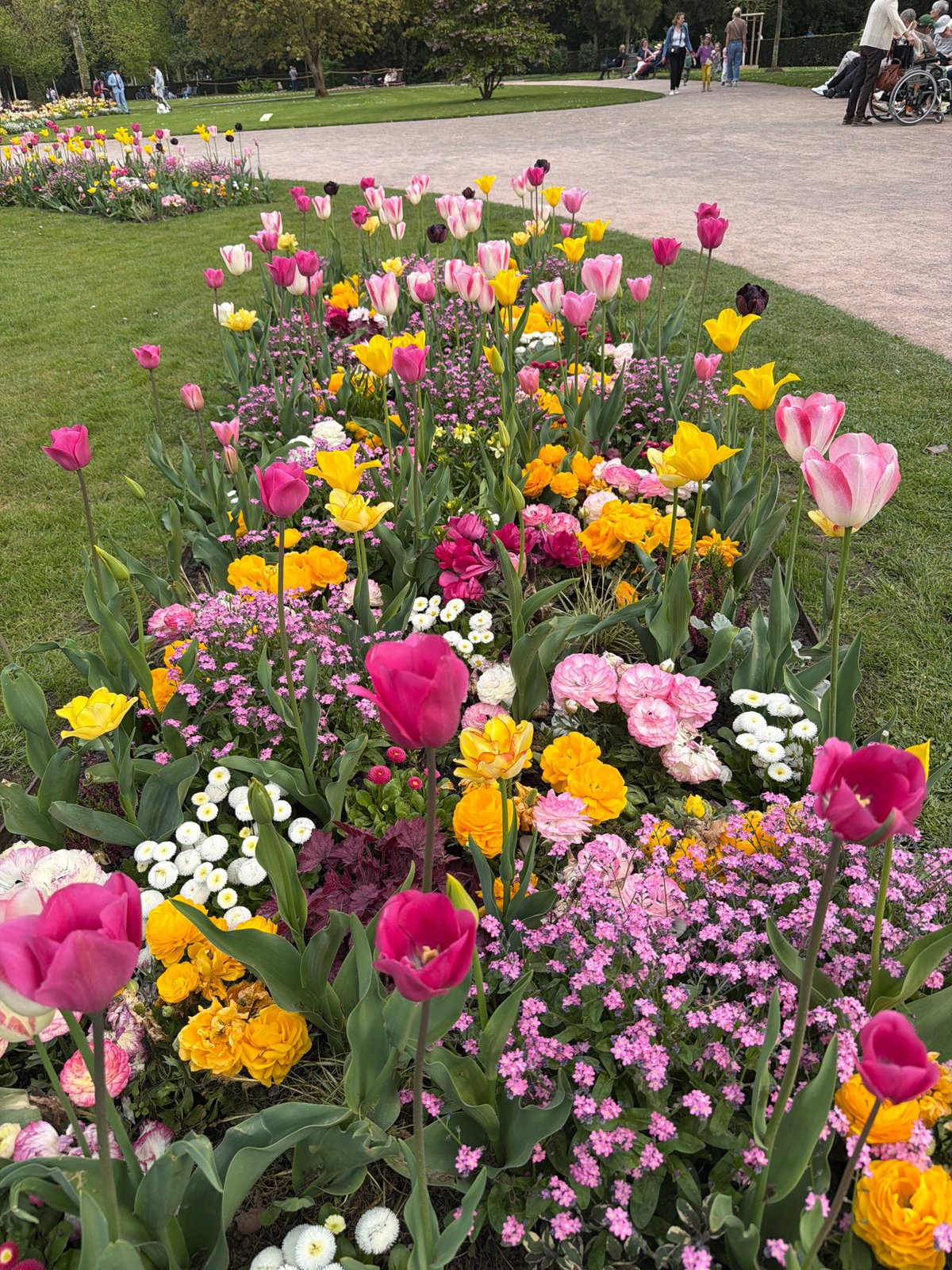 Spring afternoon documented across Strasbourg parks and Council of Europe
