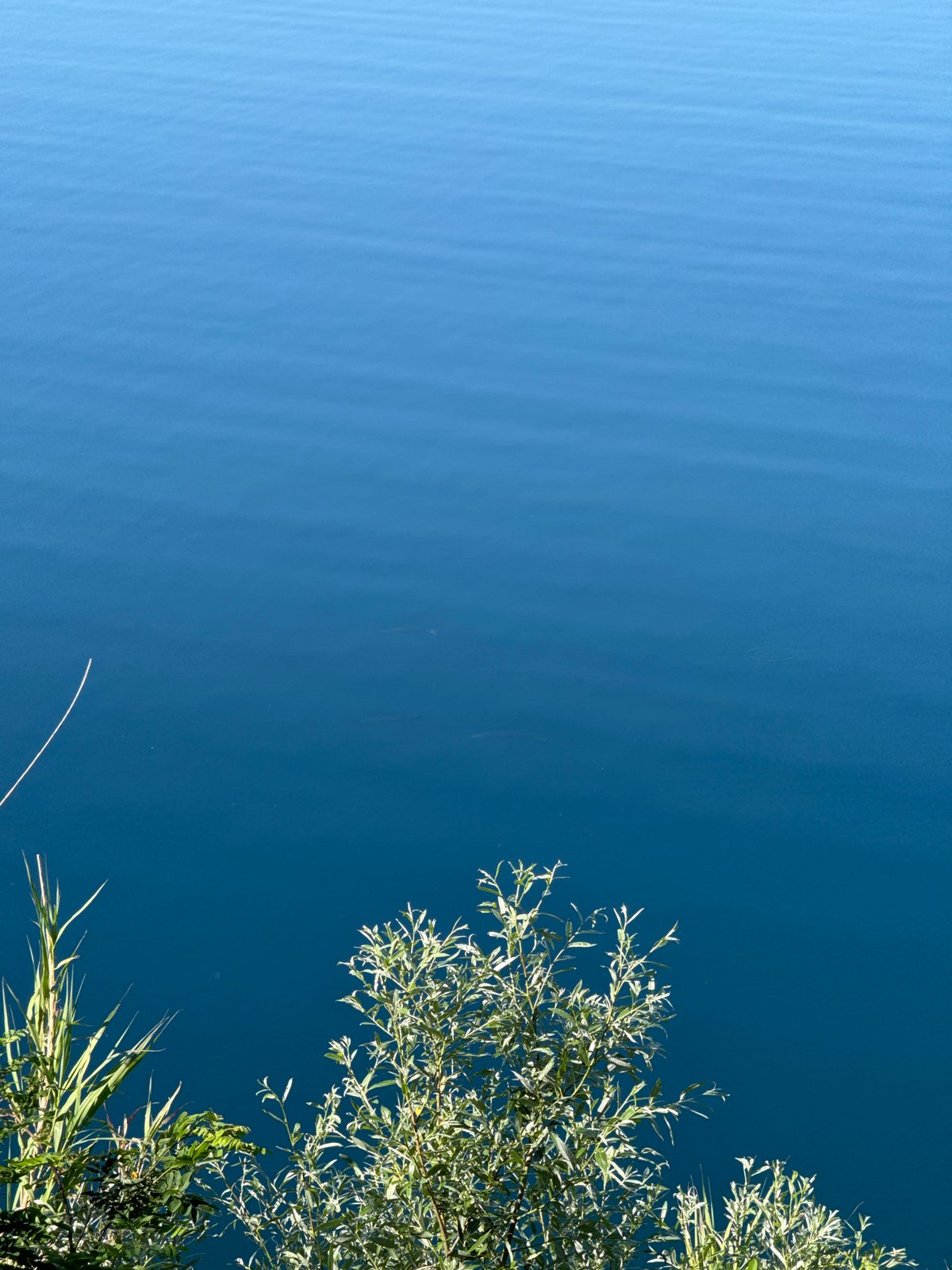 Morning lake views captured in Castel Gandolfo, Italy