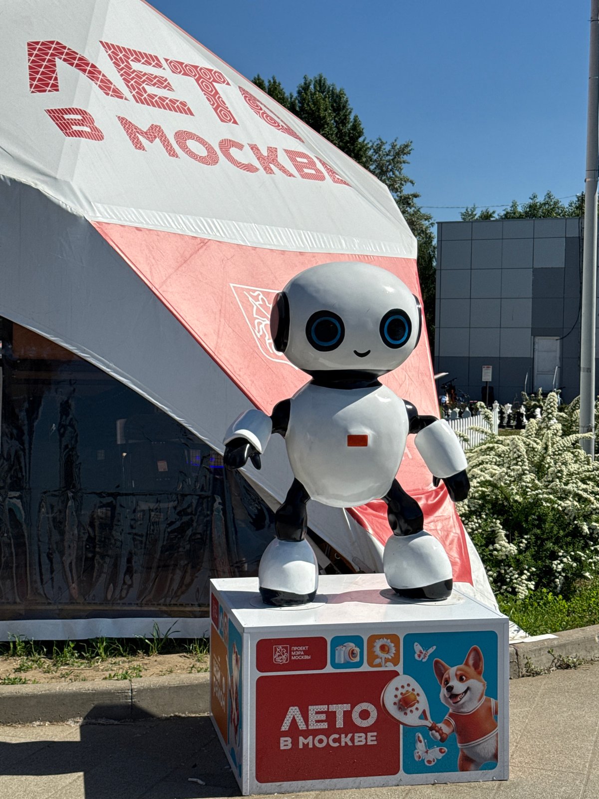 Summer activities begin early morning across Moscow venues